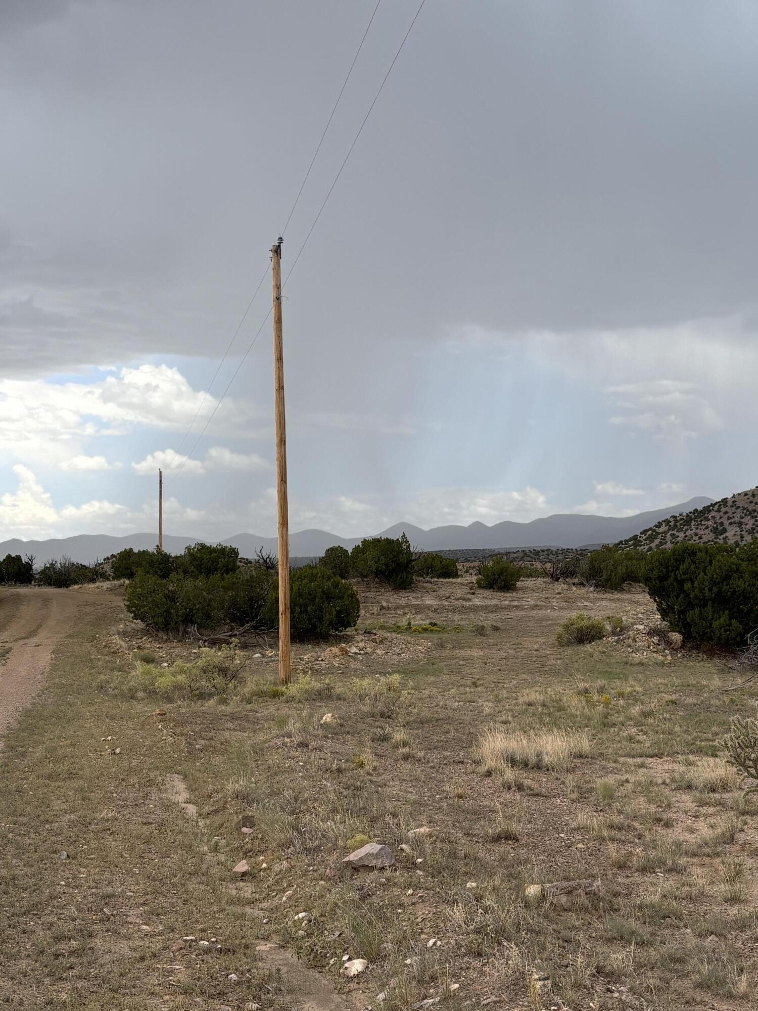 Photo 3 —  Lot 95 Abbe Springs