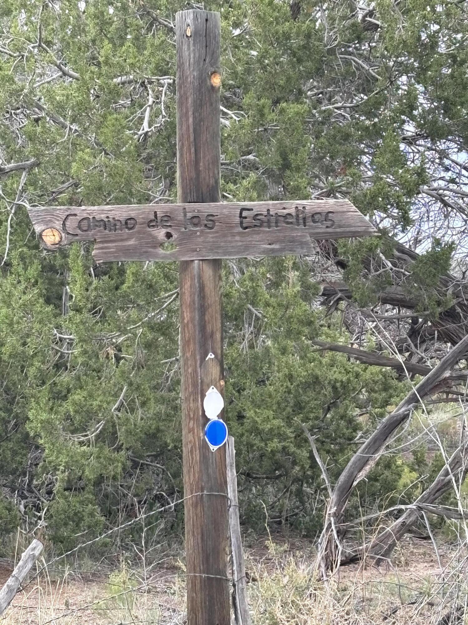 Photo 4 —  Lot 95 Abbe Springs