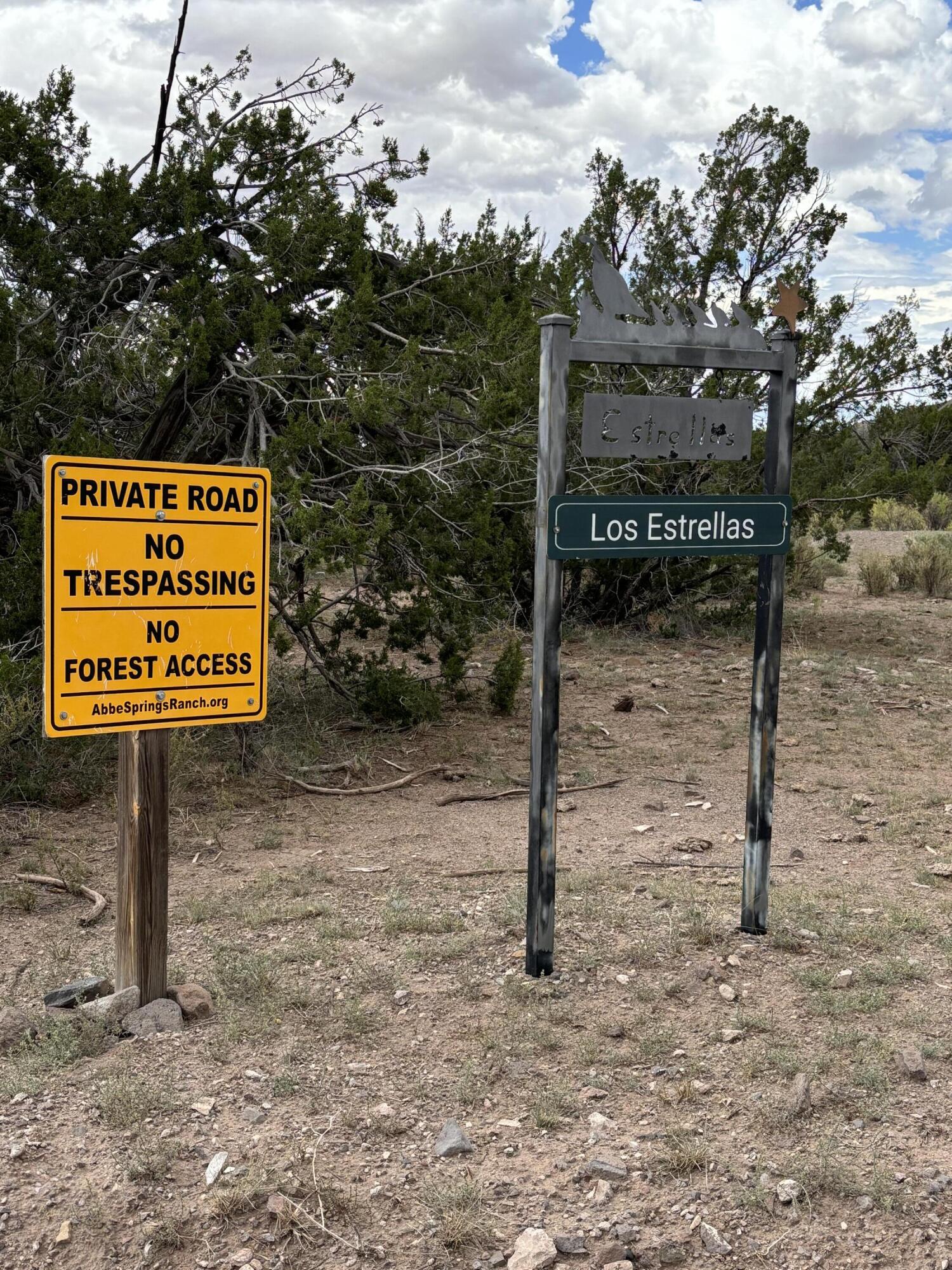 Photo 5 —  Lot 95 Abbe Springs