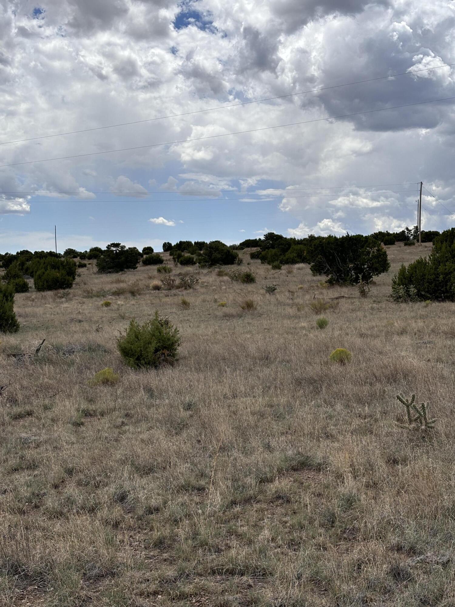 Photo 6 —  Lot 95 Abbe Springs