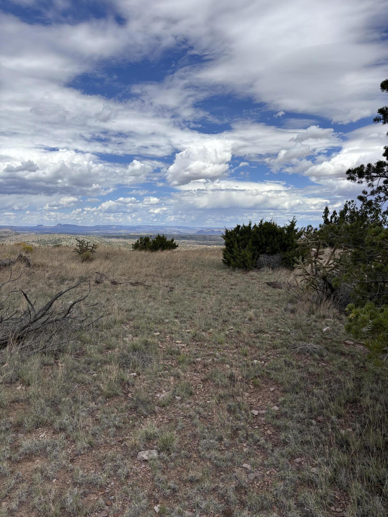 Photo 7 —  Lot 95 Abbe Springs
