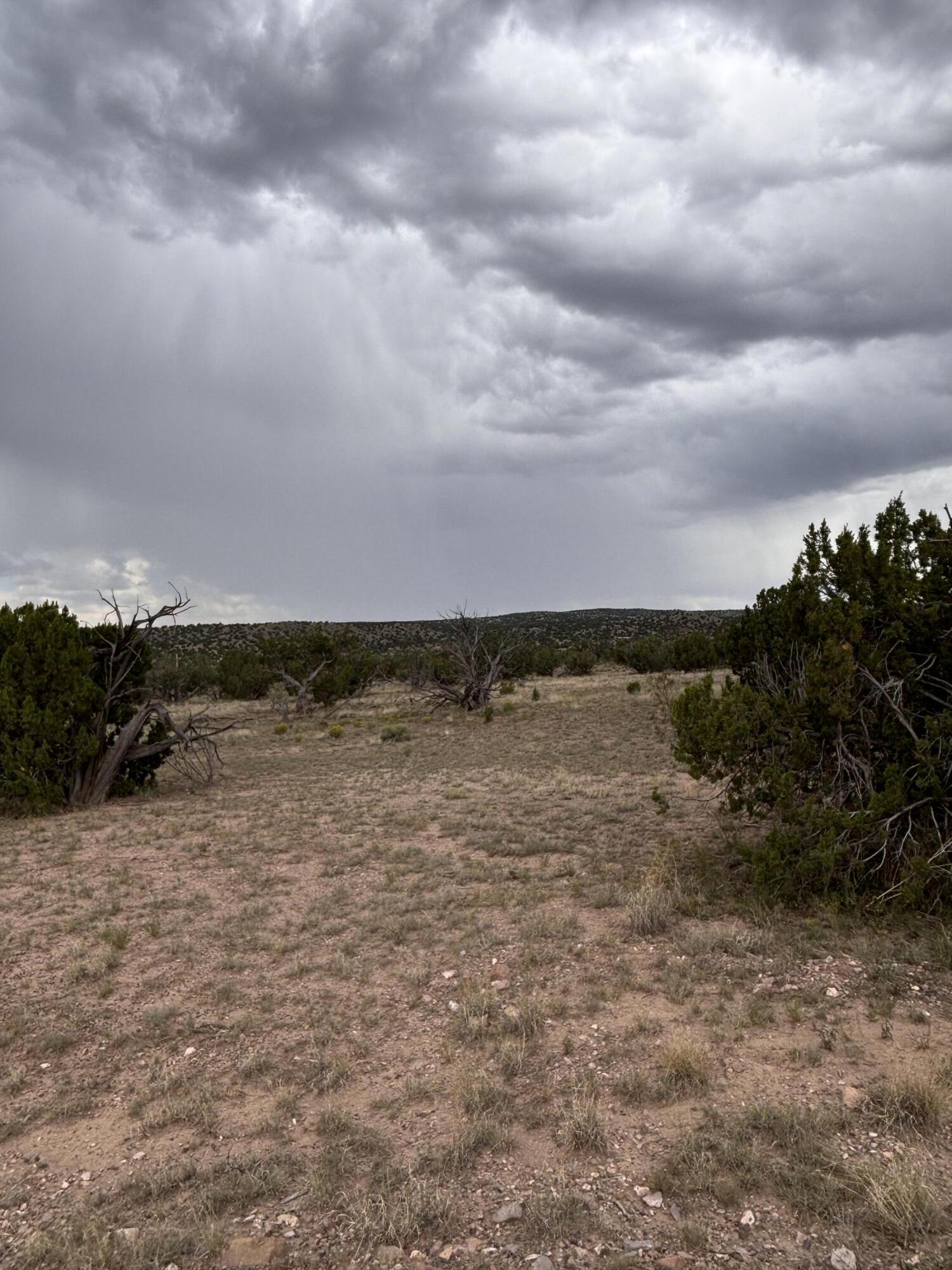 Photo 8 —  Lot 95 Abbe Springs