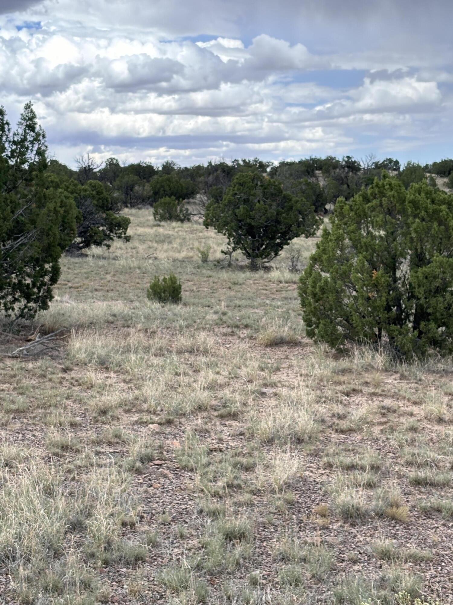 Photo 9 —  Lot 95 Abbe Springs