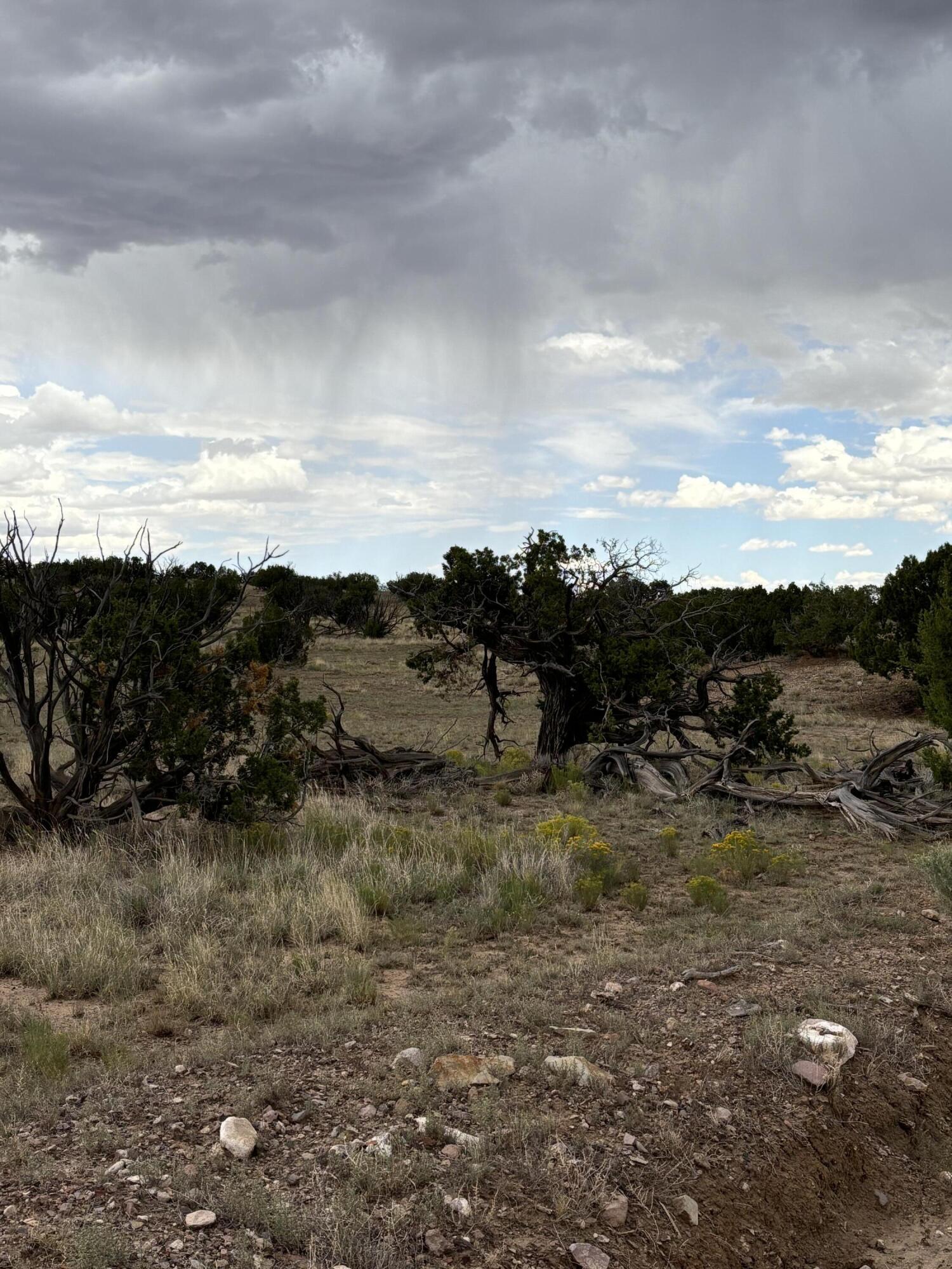 Photo 11 —  Lot 95 Abbe Springs