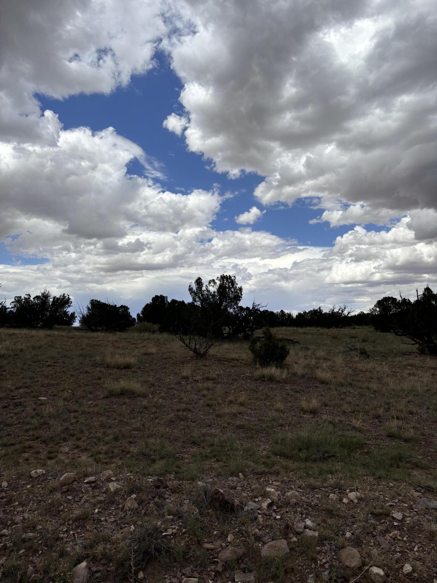 Photo 12 —  Lot 95 Abbe Springs