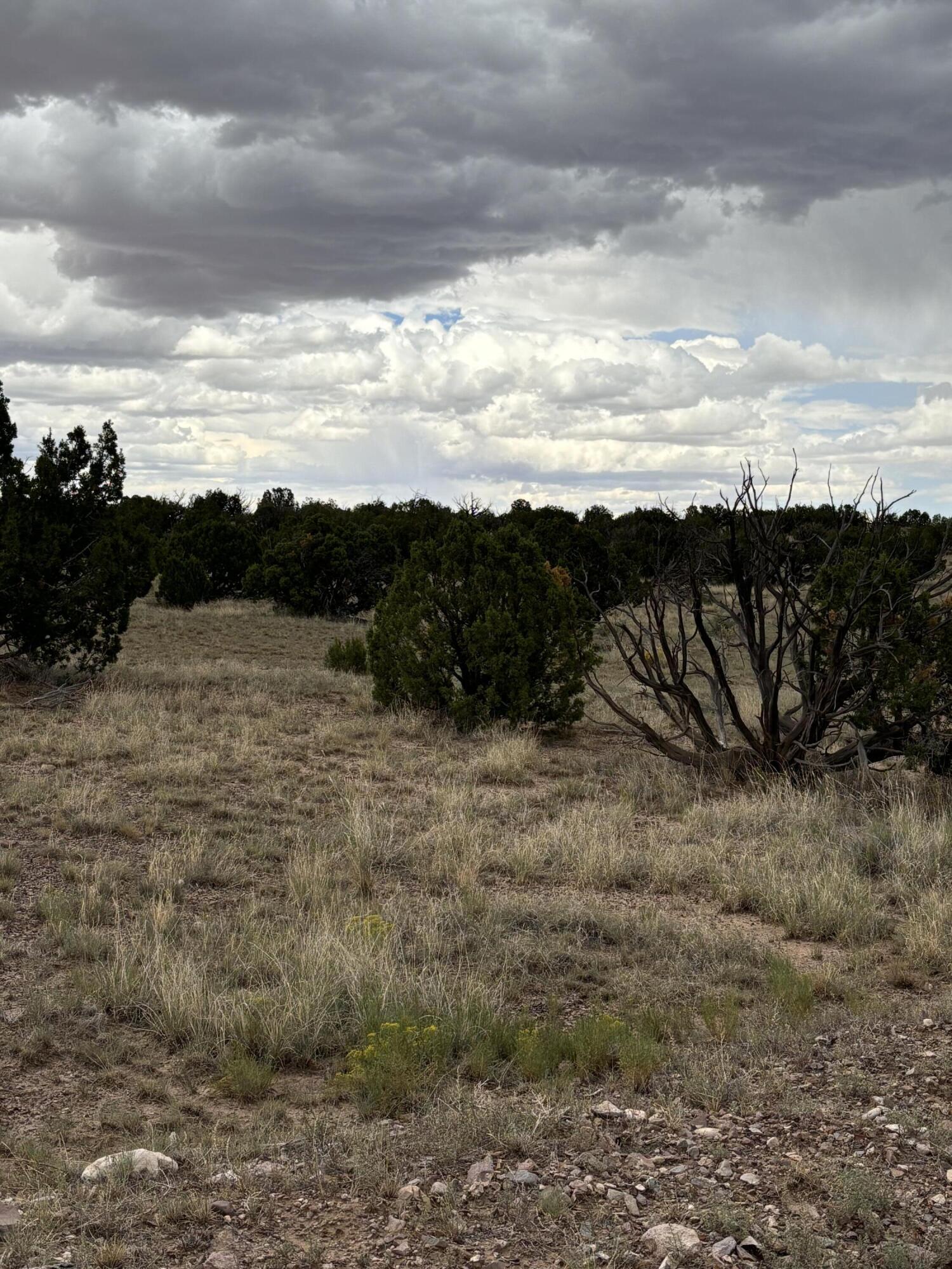 Photo 13 —  Lot 95 Abbe Springs