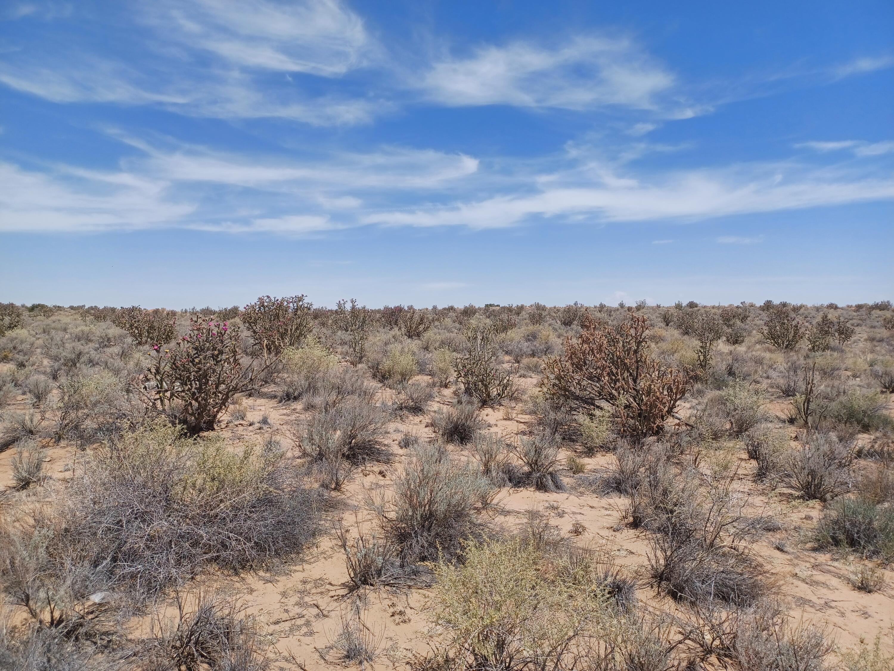 Photo 4 — 3728 HIGHLONESOME Drive NE