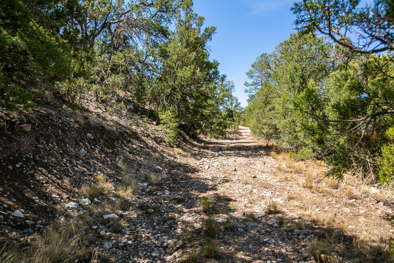Photo 6 —  TOWNSITE OF LA MADERA PG: 0 A