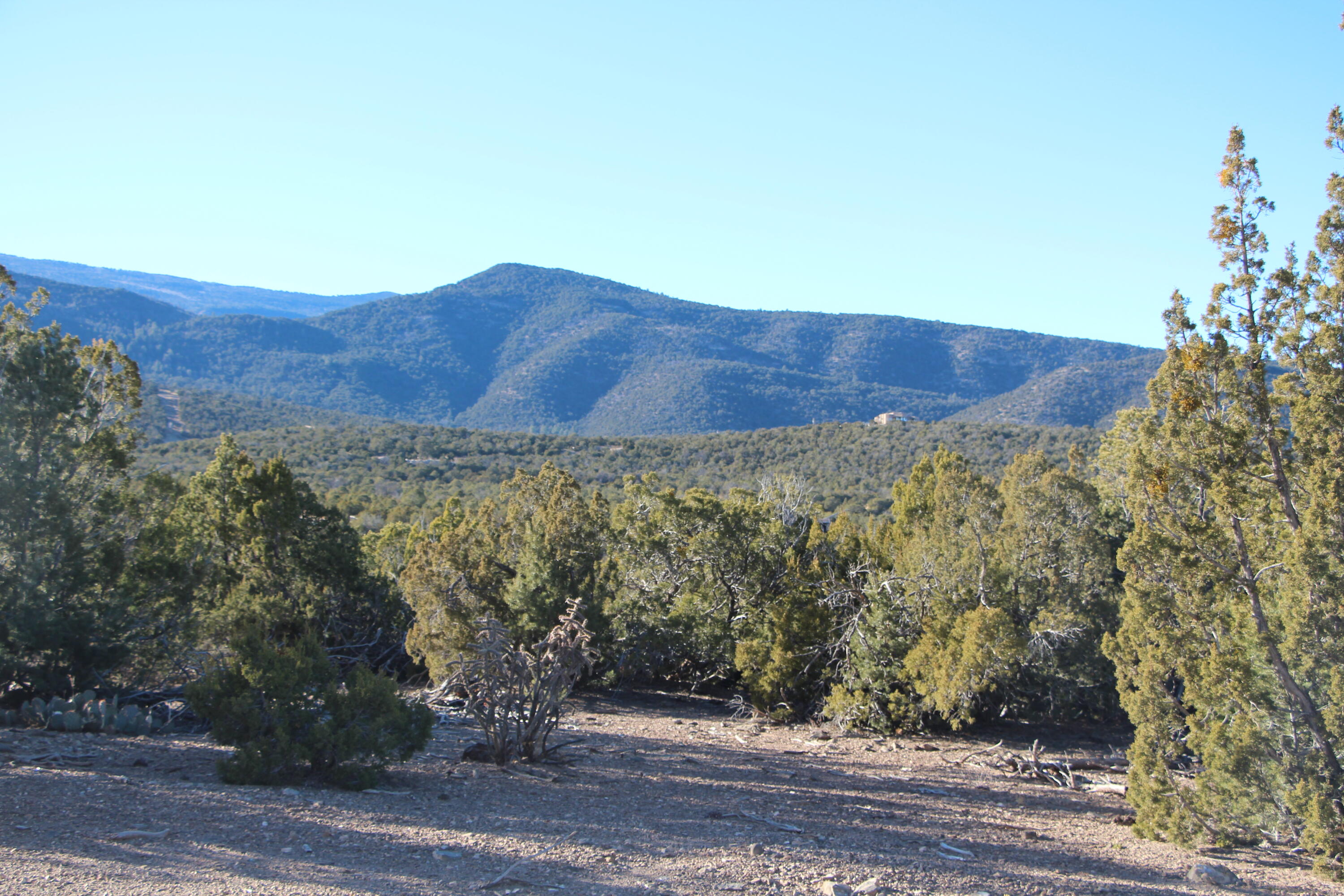 Photo 5 —  TOWNSITE OF LA MADERA PG: 0 A