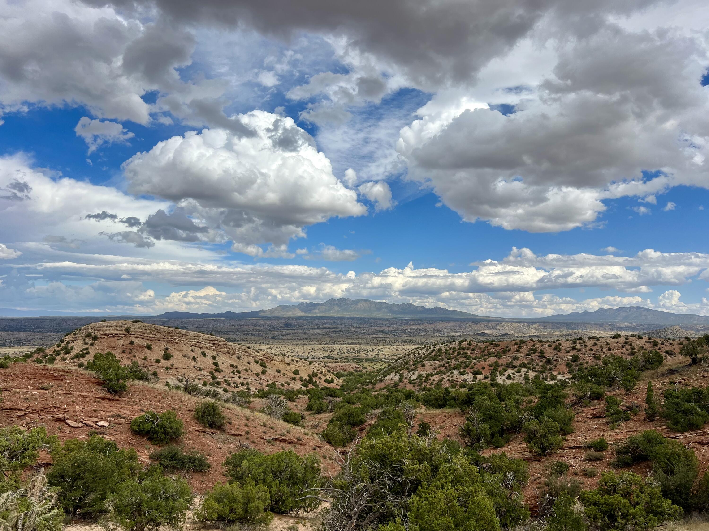 310 SUNRISE Lane, Placitas, NM 87043
