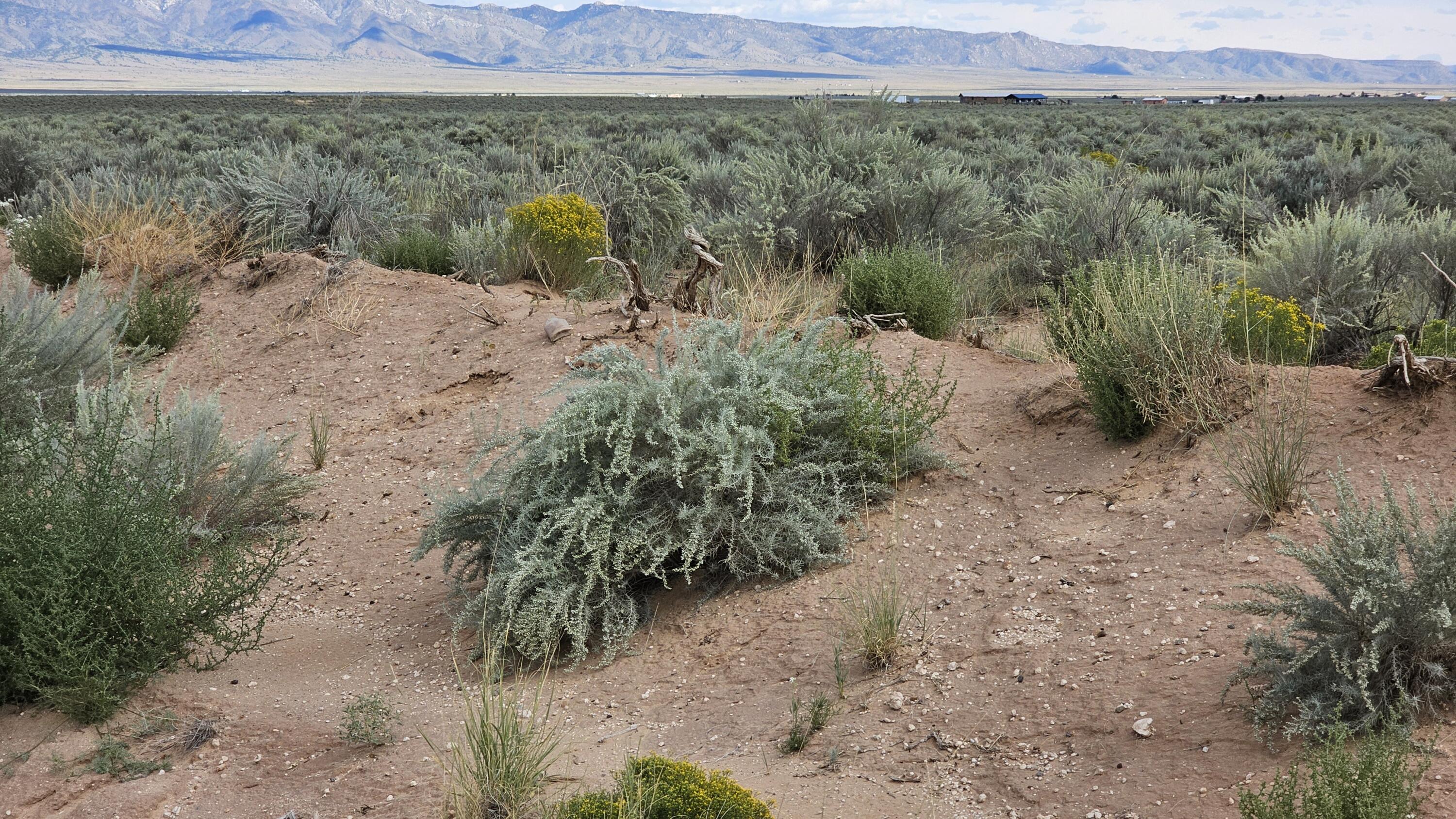 Photo 4 — VL Lot 9 Block 375 17