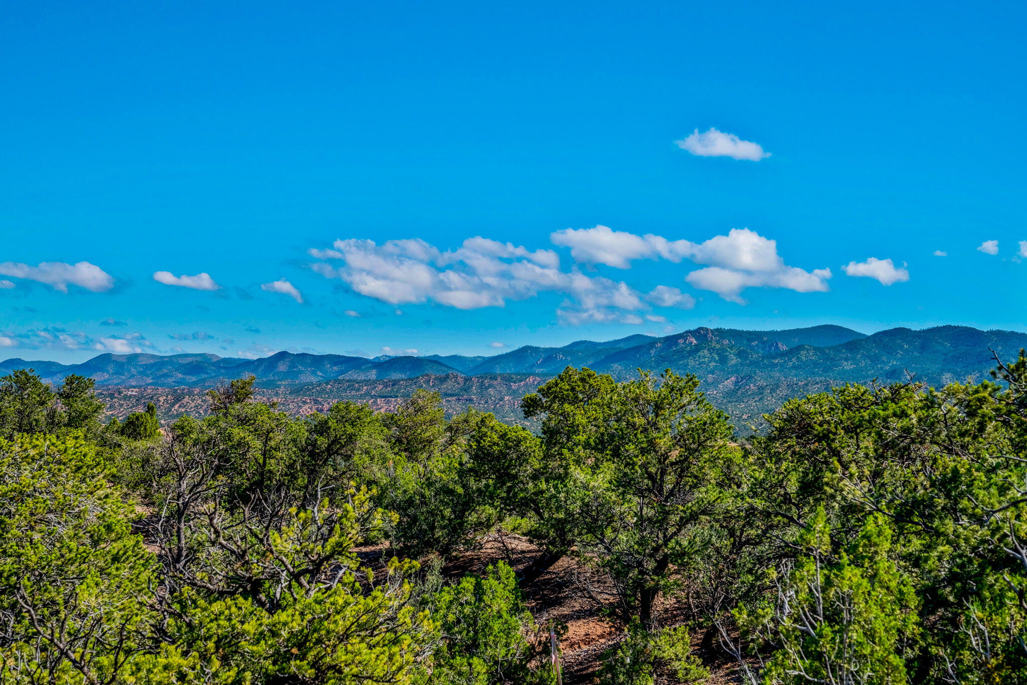 Photo 4 — 56 Tesuque Ridge