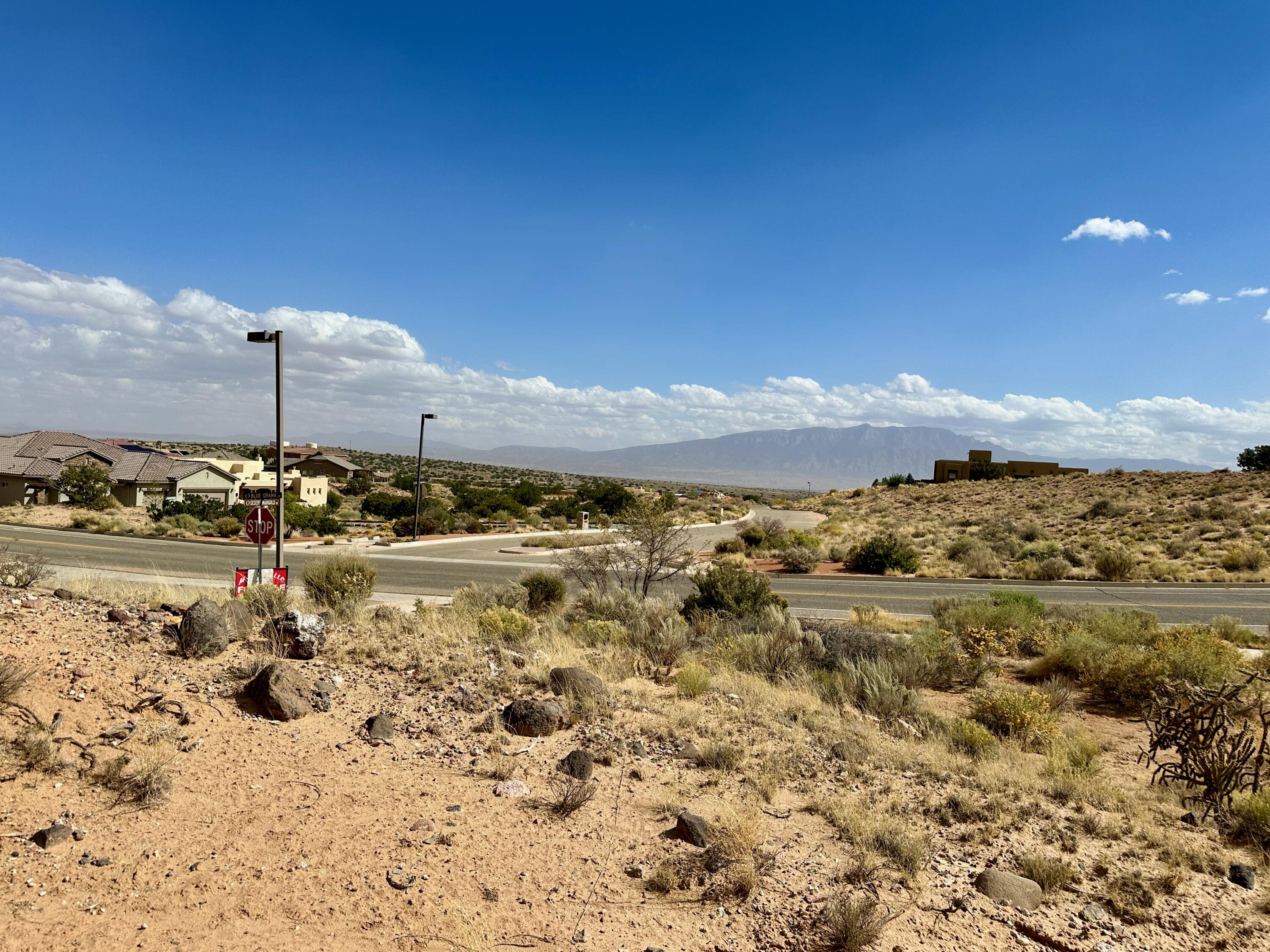 Photo 4 — 2313 DESERT MARIGOLD Road NE