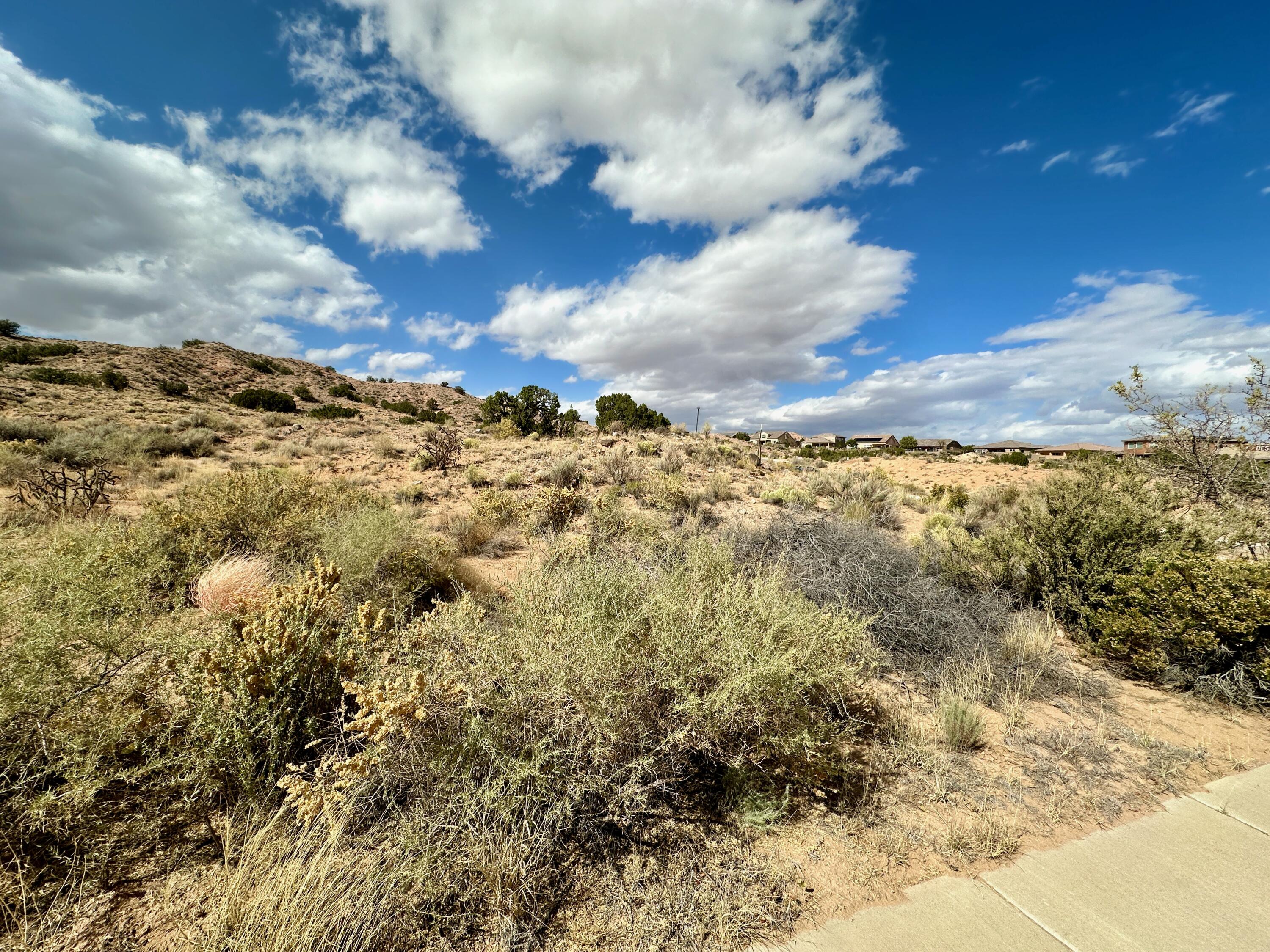 Photo 7 — 2313 DESERT MARIGOLD Road NE