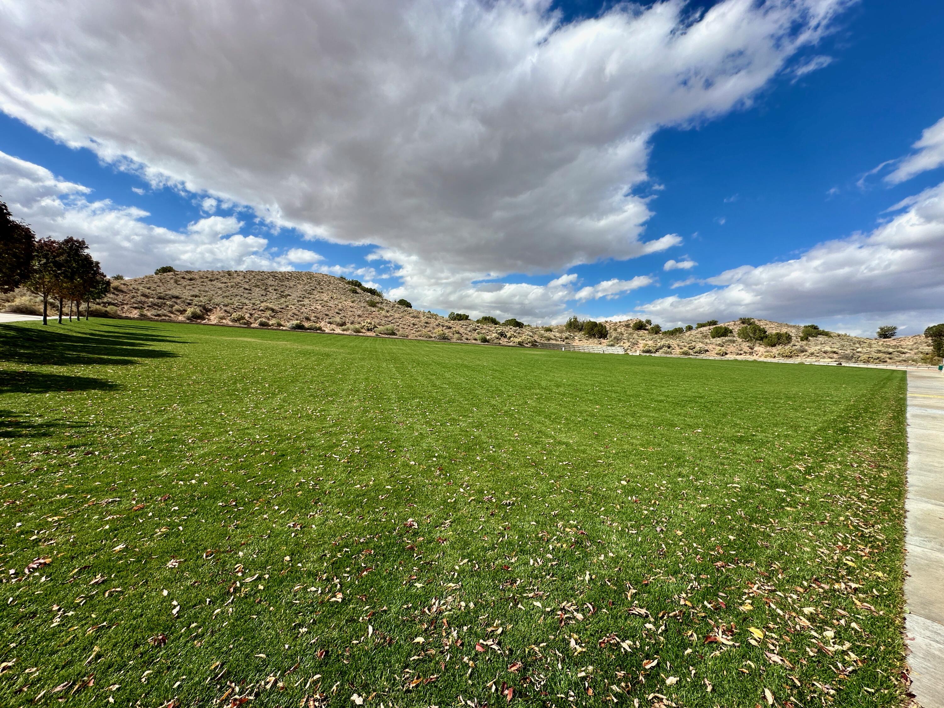 Photo 10 — 2313 DESERT MARIGOLD Road NE