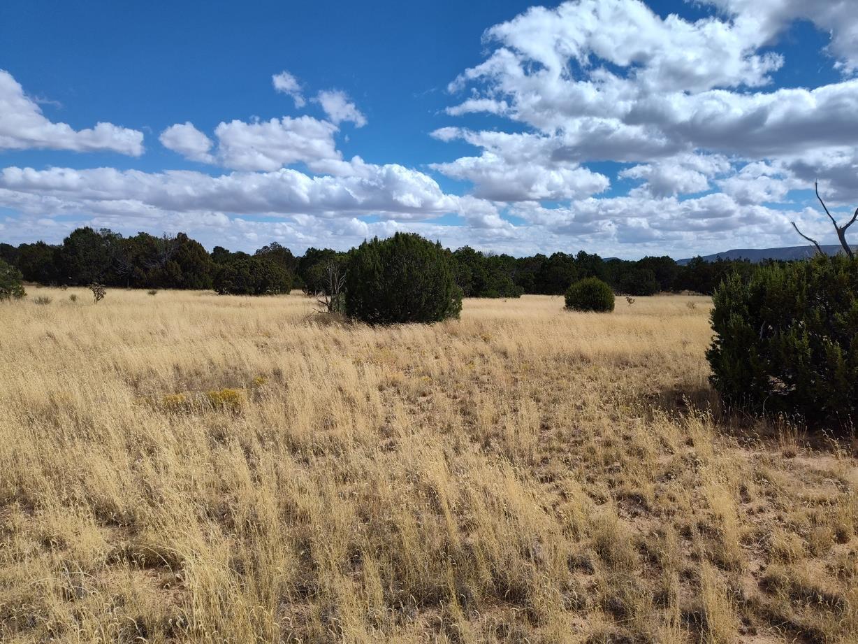 Photo 2 —  Golf Course Road