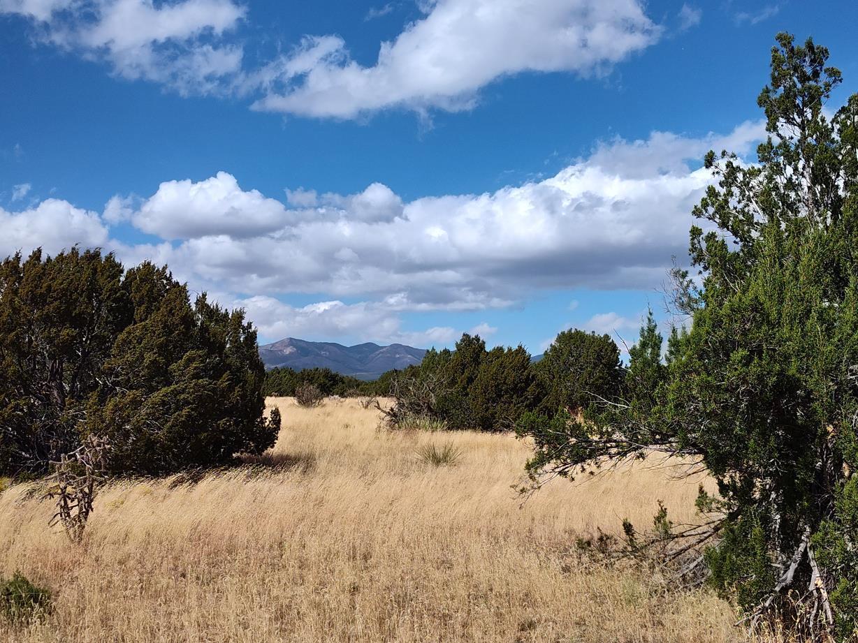Photo 4 —  Golf Course Road