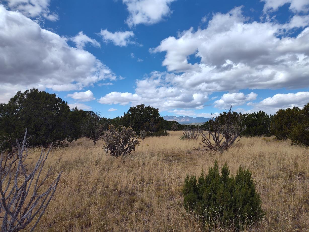 Photo 6 —  Golf Course Road