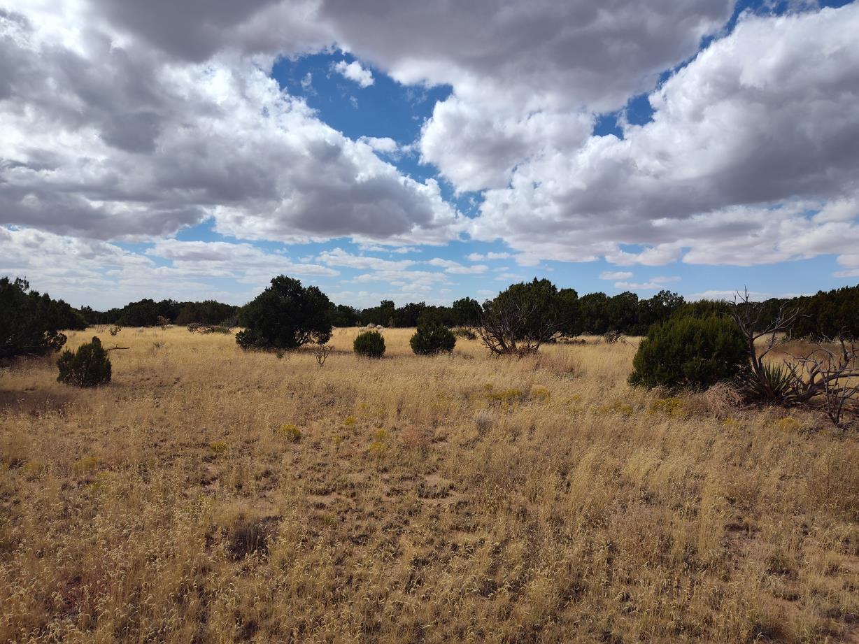 Photo 8 —  Golf Course Road