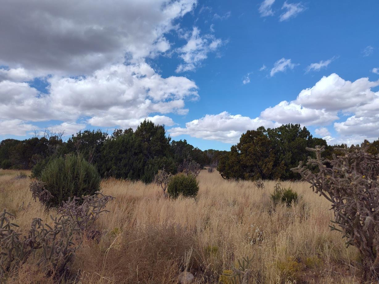 Photo 9 —  Golf Course Road