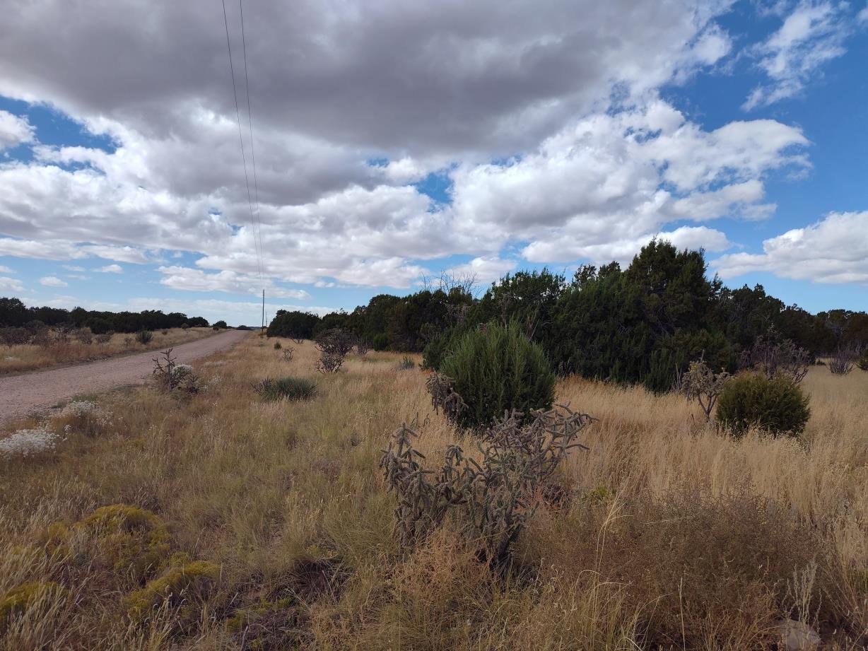 Photo 10 —  Golf Course Road