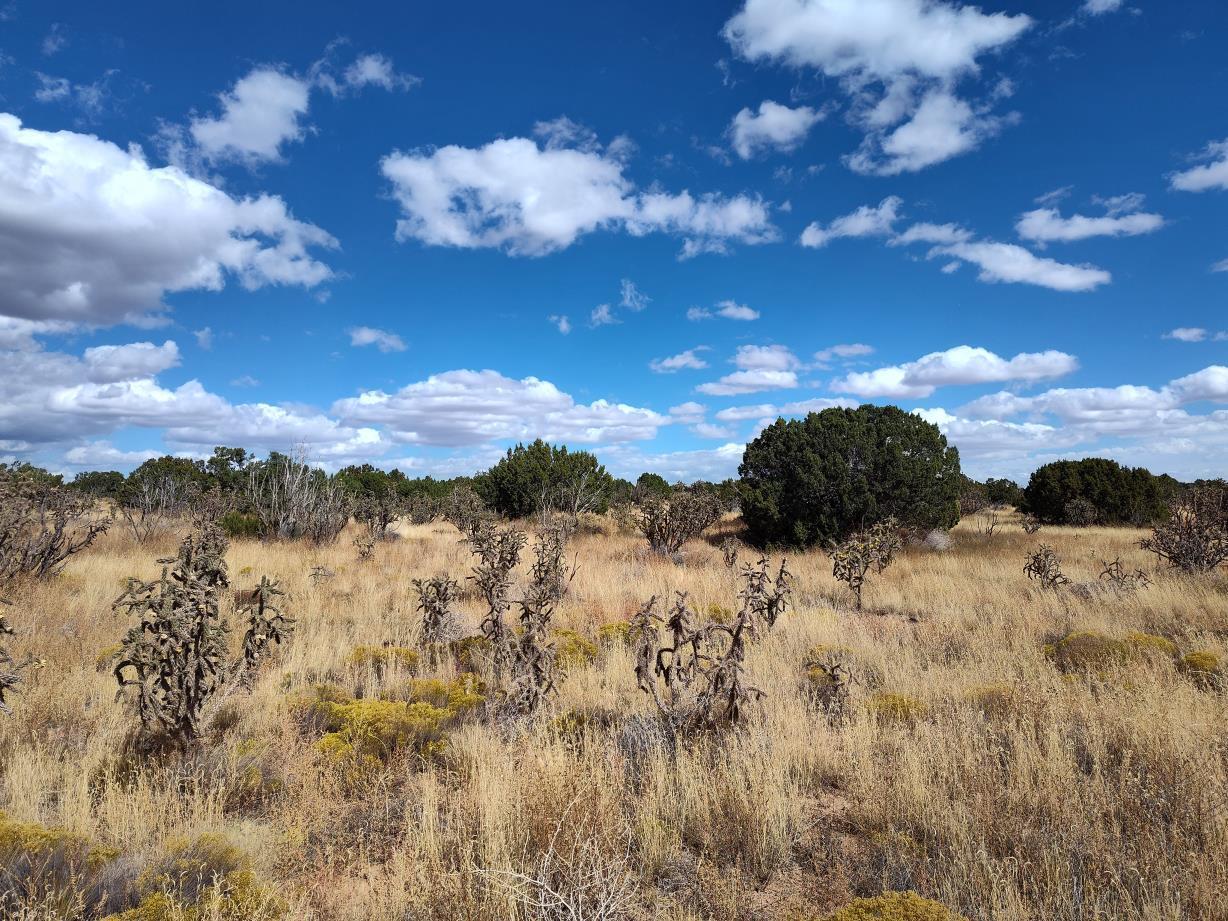 Photo 14 —  Golf Course Road