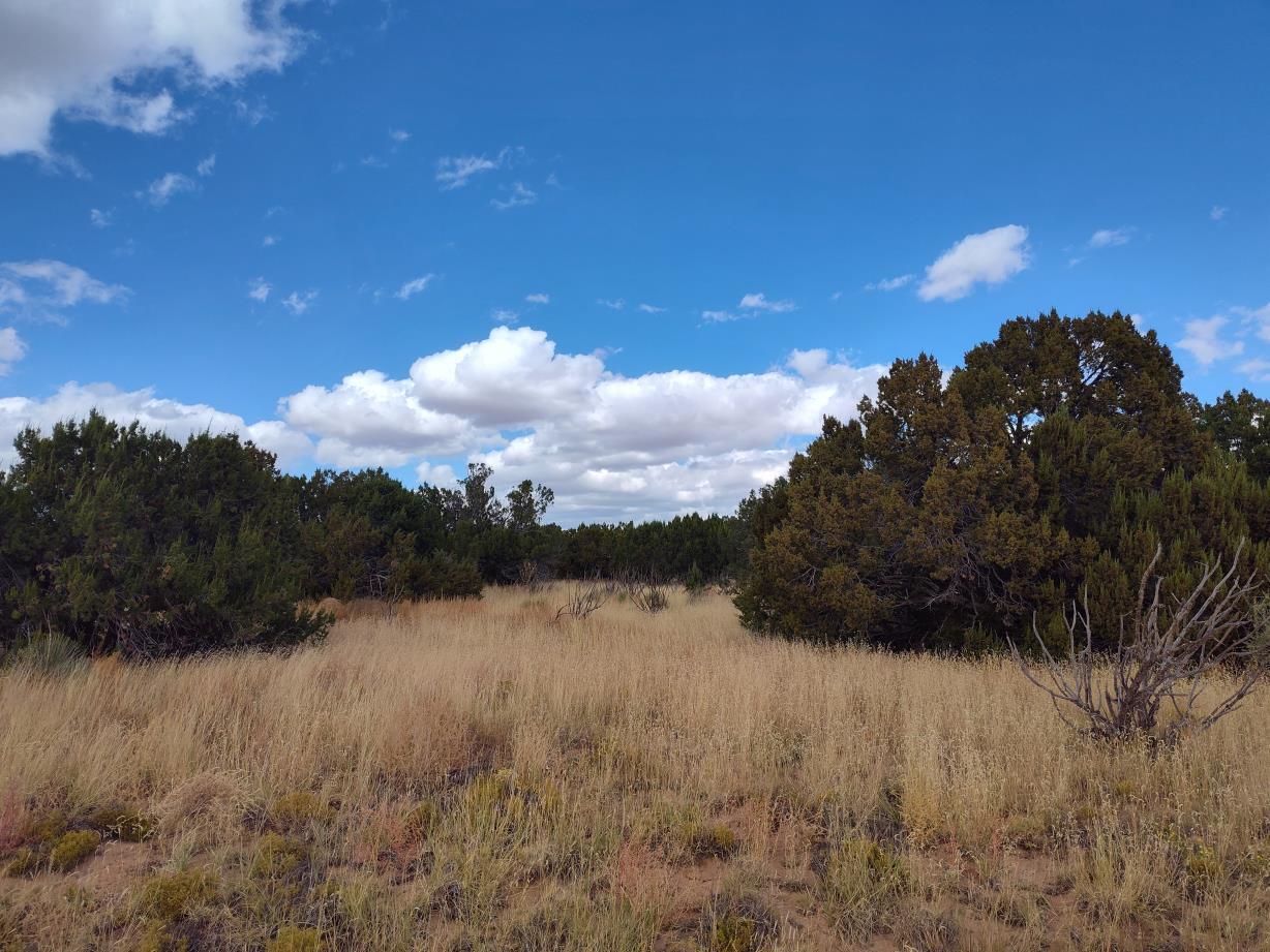 Photo 11 —  Golf Course Road