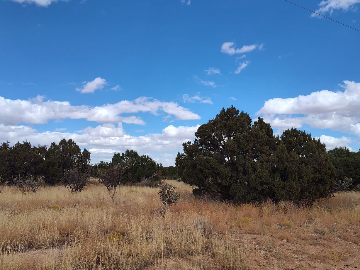Photo 12 —  Golf Course Road