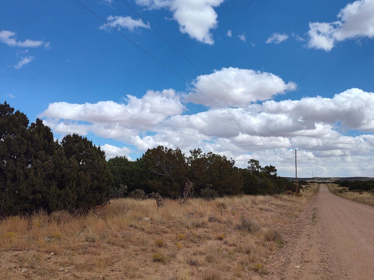Photo 13 —  Golf Course Road