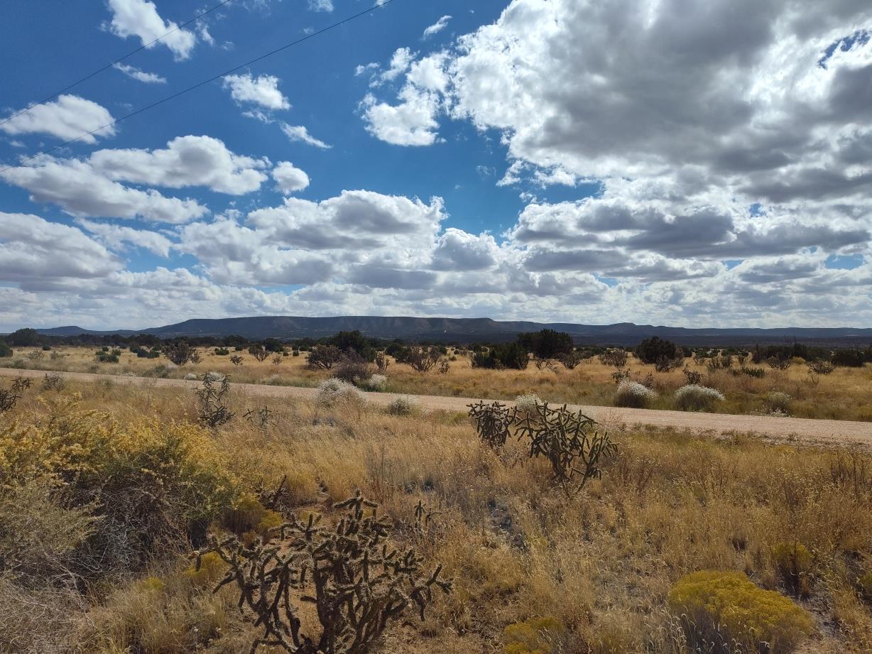 Photo 15 —  Golf Course Road