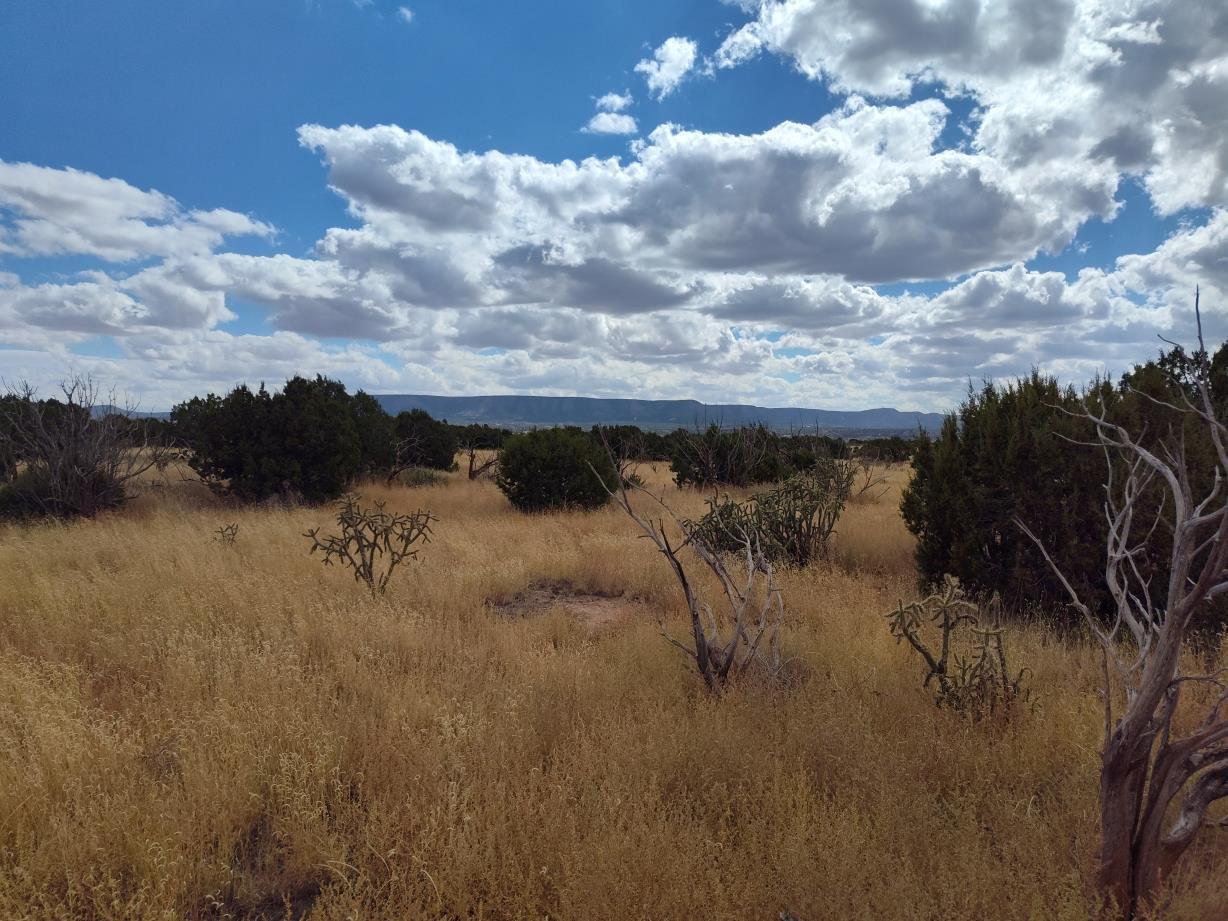 Photo 16 —  Golf Course Road