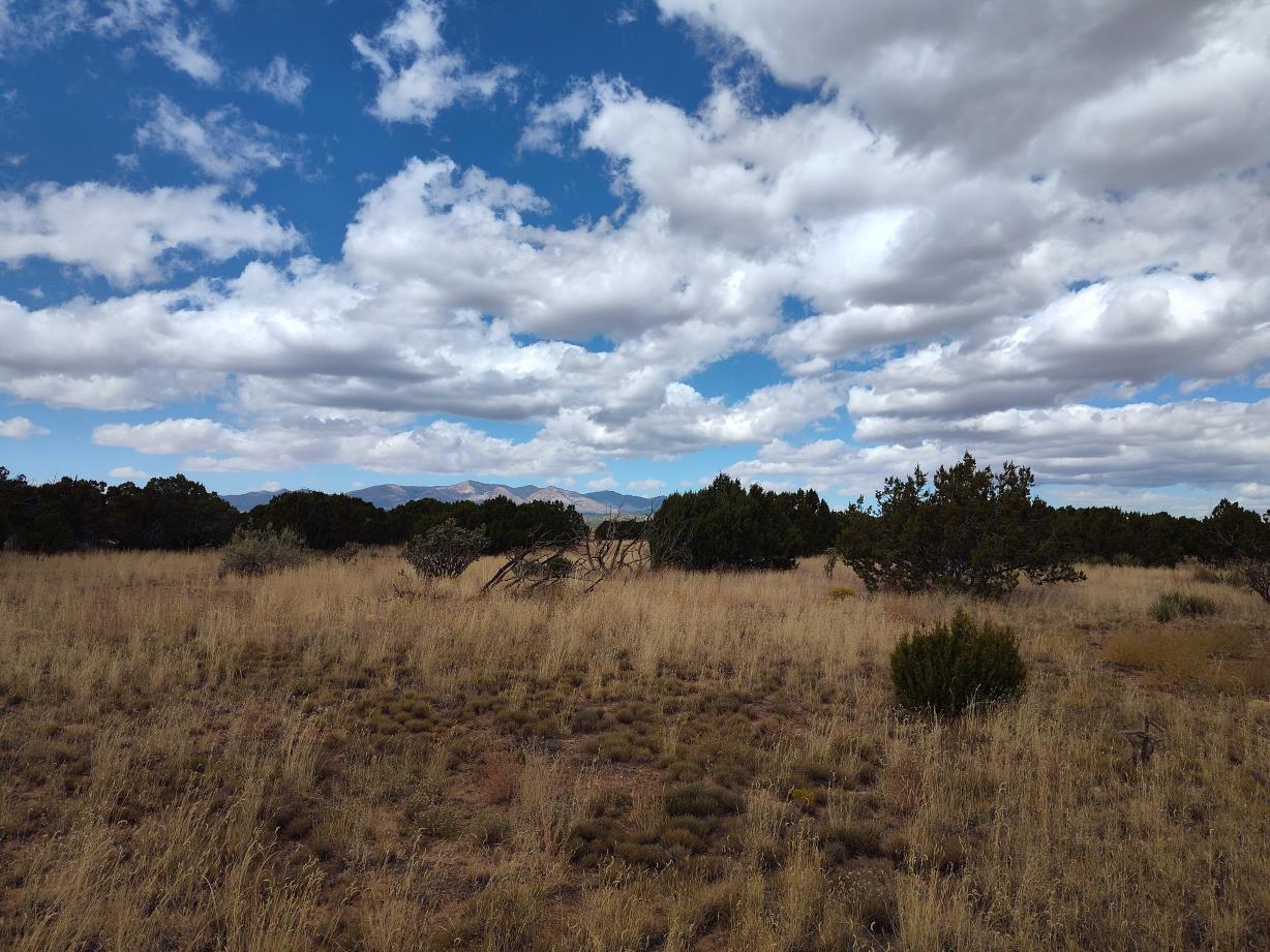 Photo 18 —  Golf Course Road
