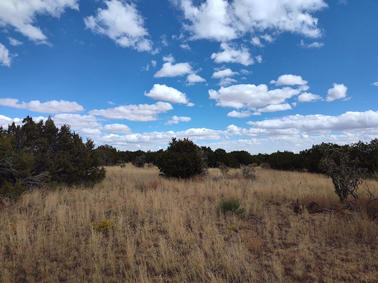 Photo 19 —  Golf Course Road
