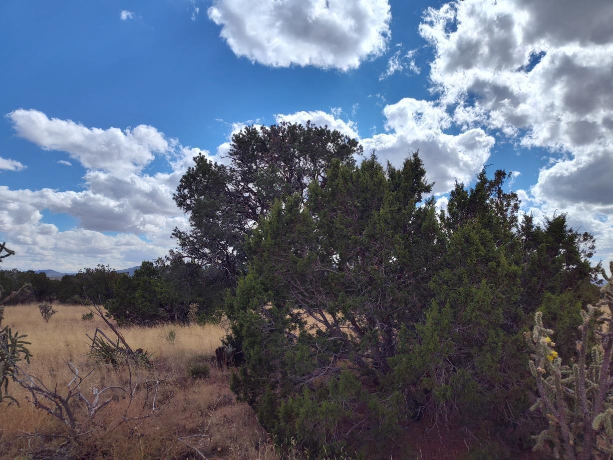 Photo 20 —  Golf Course Road