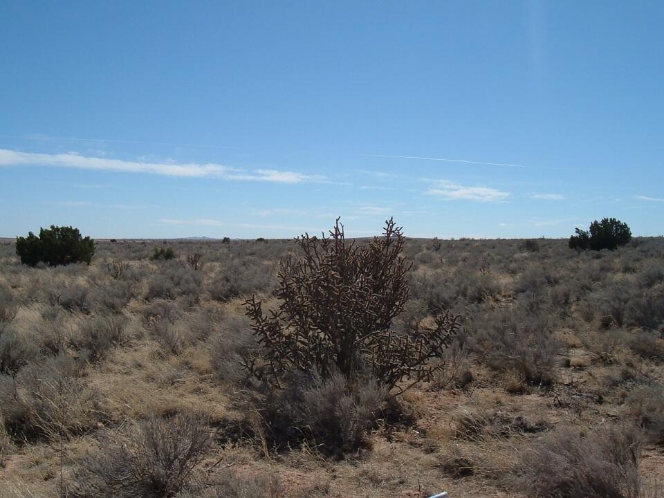 Photo 2 — 3001 Siddartha (U25B76L52) Road NE