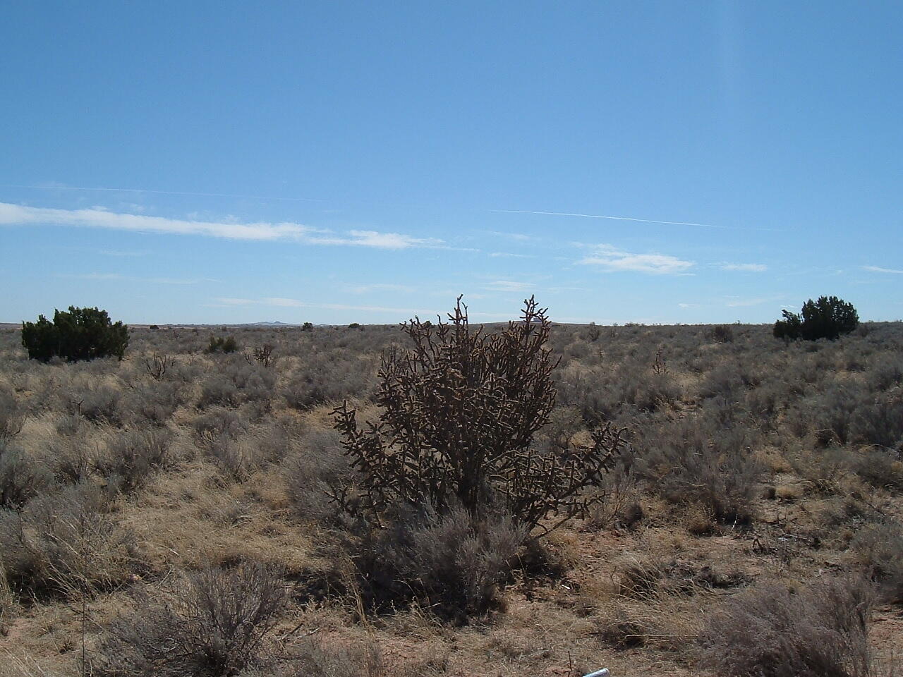 Photo 5 — 5229 Overidge (U25B9L50, 51) Road NE