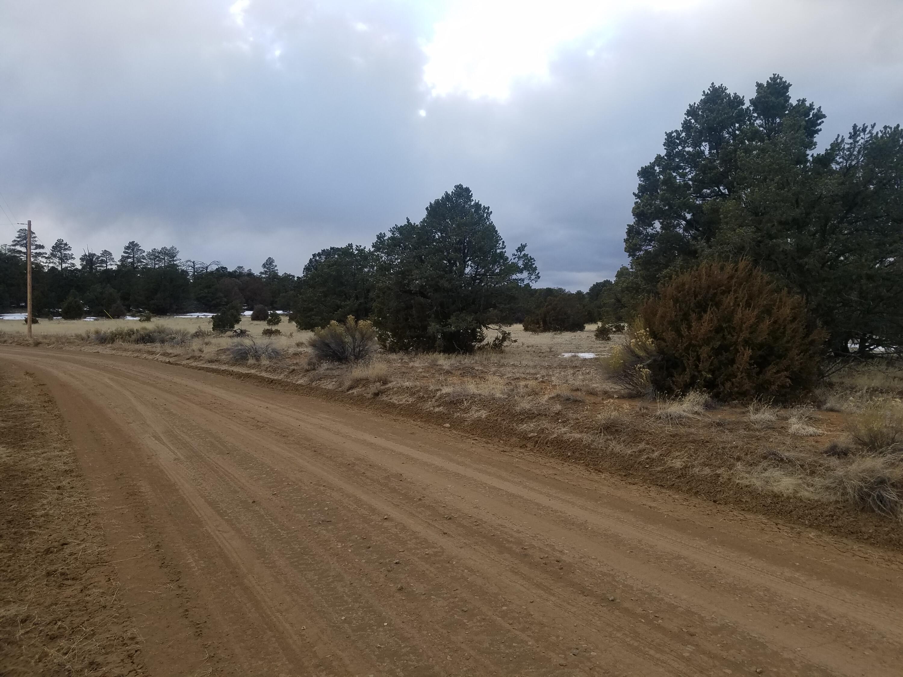 Photo 15 — 12 and 13 Ranchero Rd.
