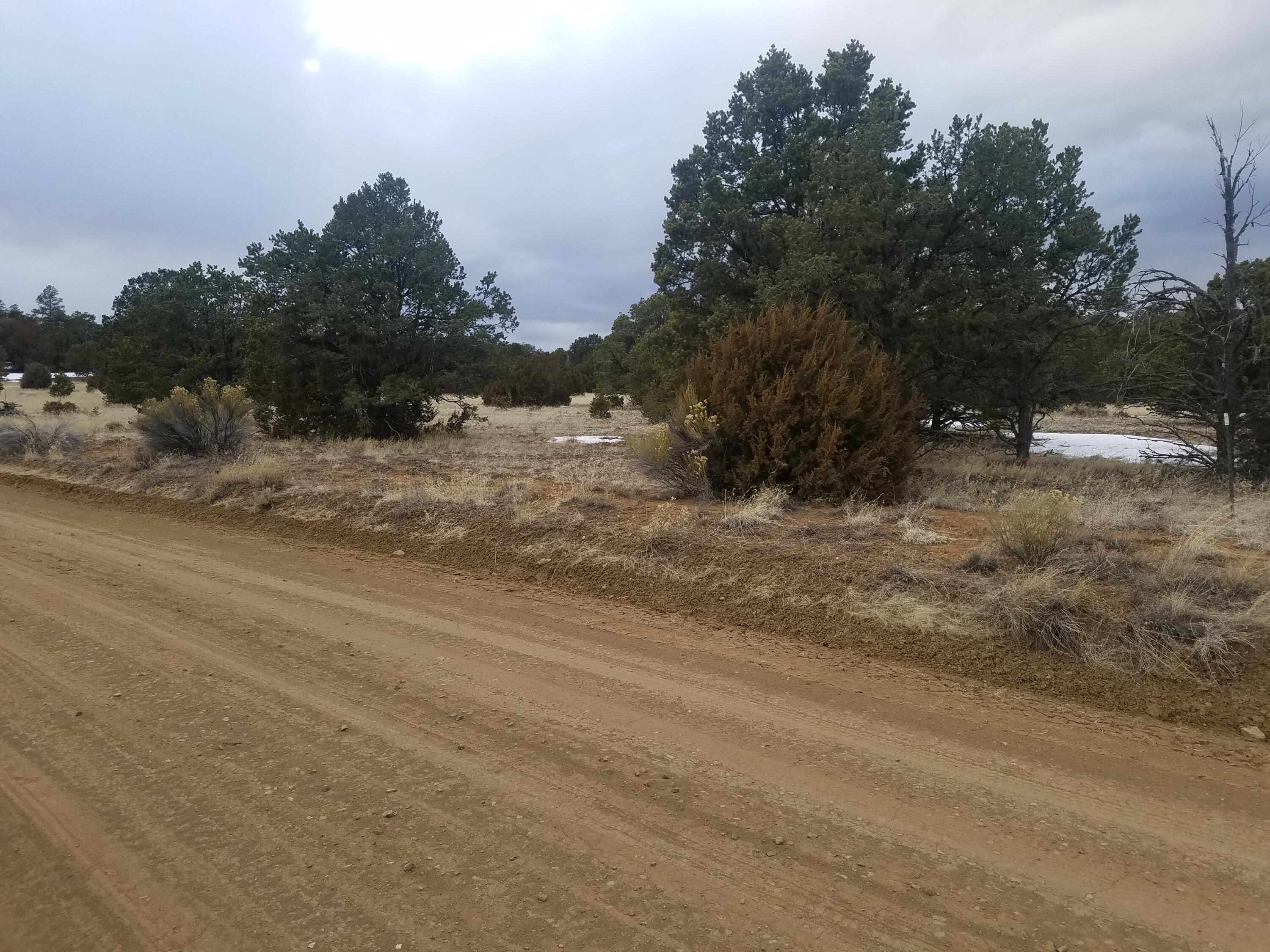 Photo 13 — 12 and 13 Ranchero Rd.