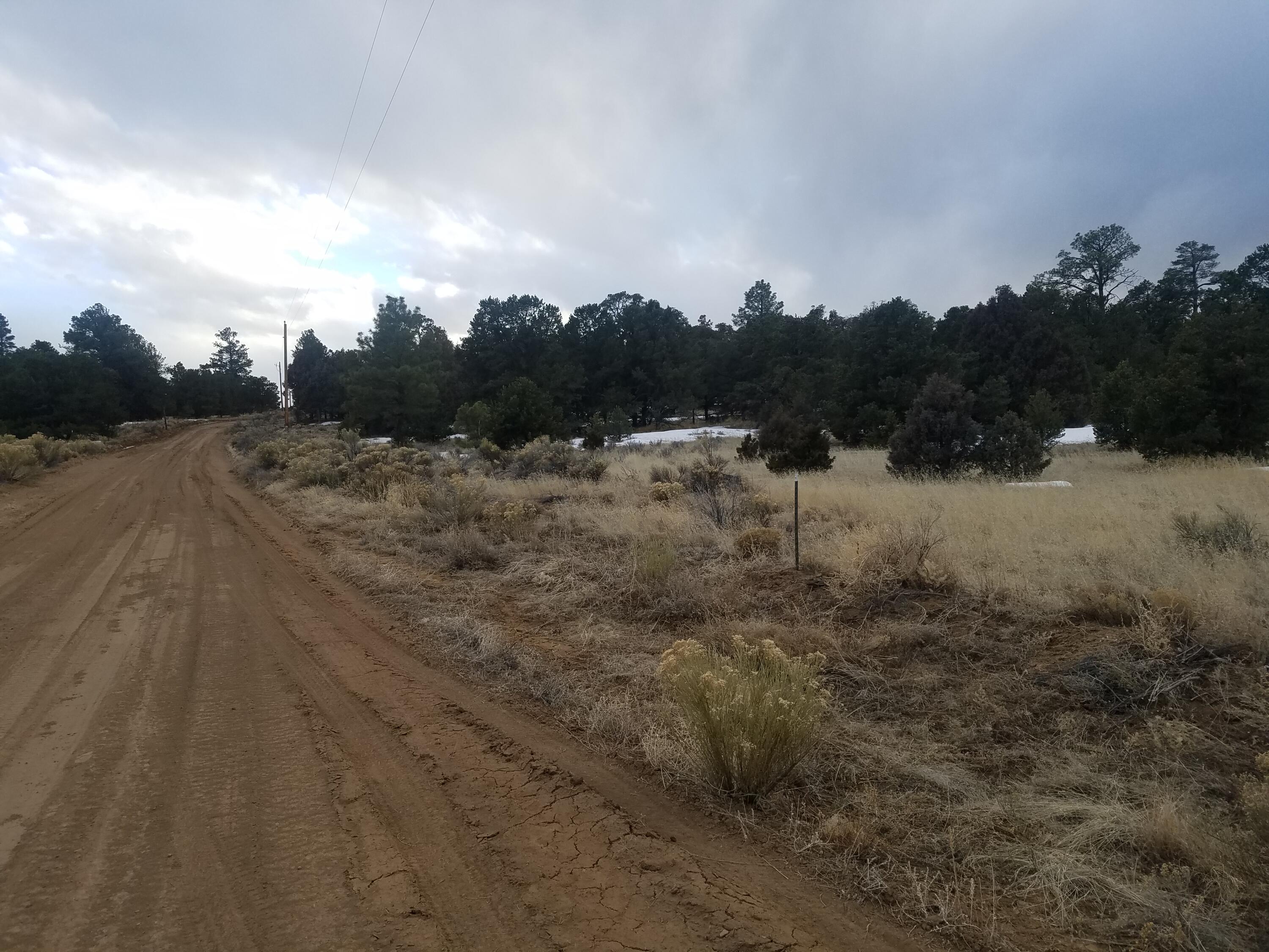 Photo 12 — 12 and 13 Ranchero Rd.