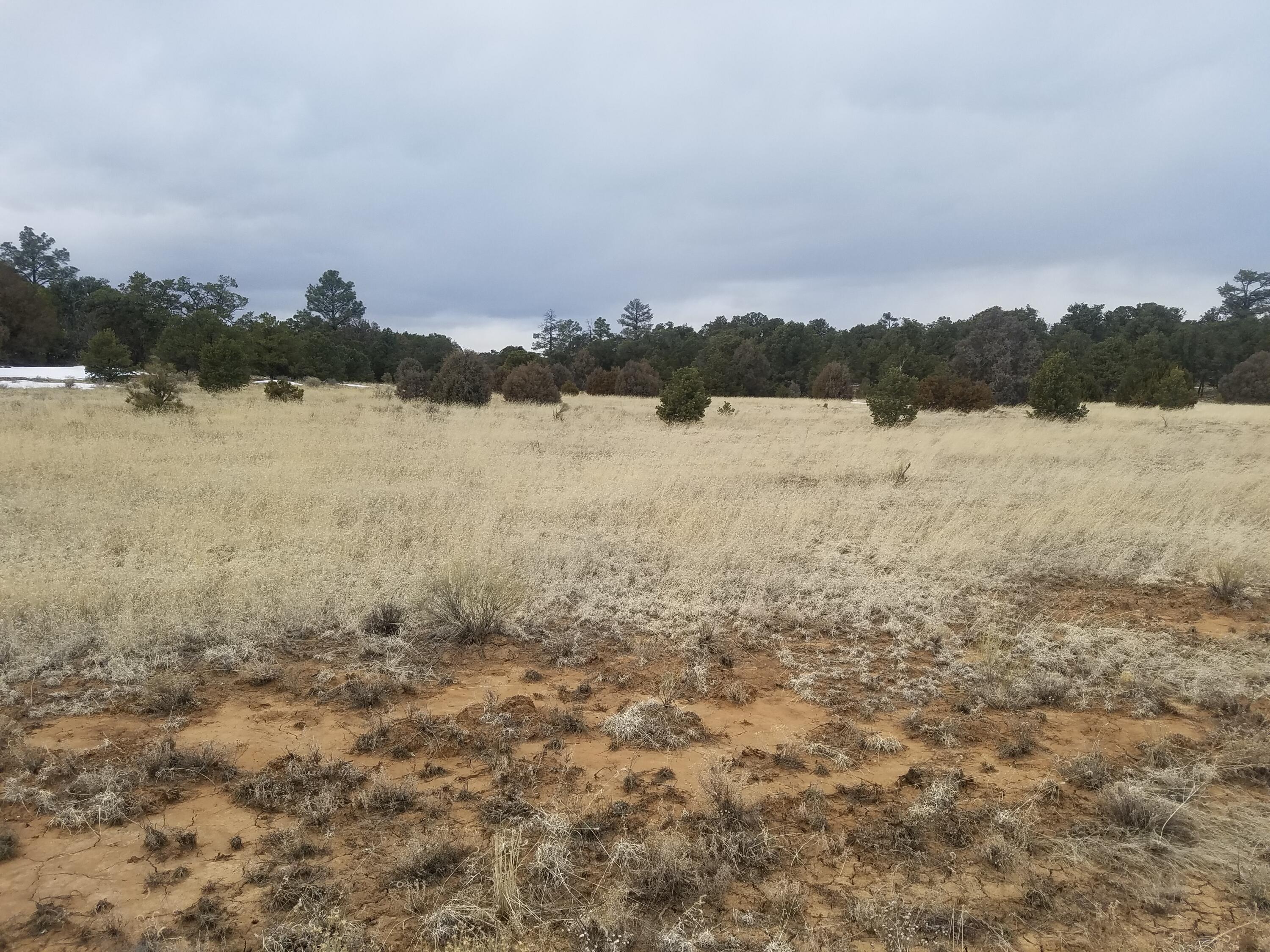 Photo 3 — 12 and 13 Ranchero Rd.