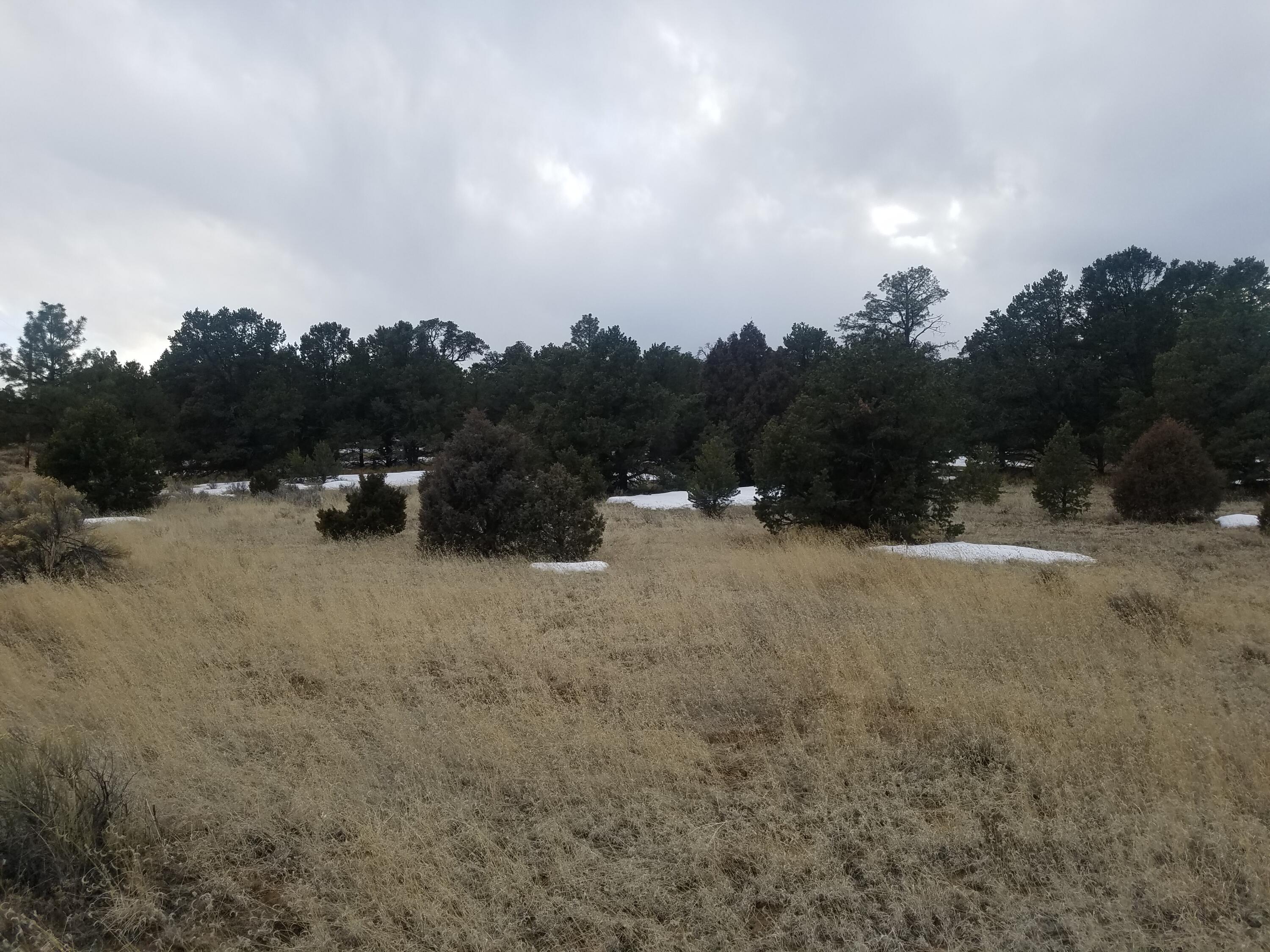 Photo 20 — 12 and 13 Ranchero Rd.