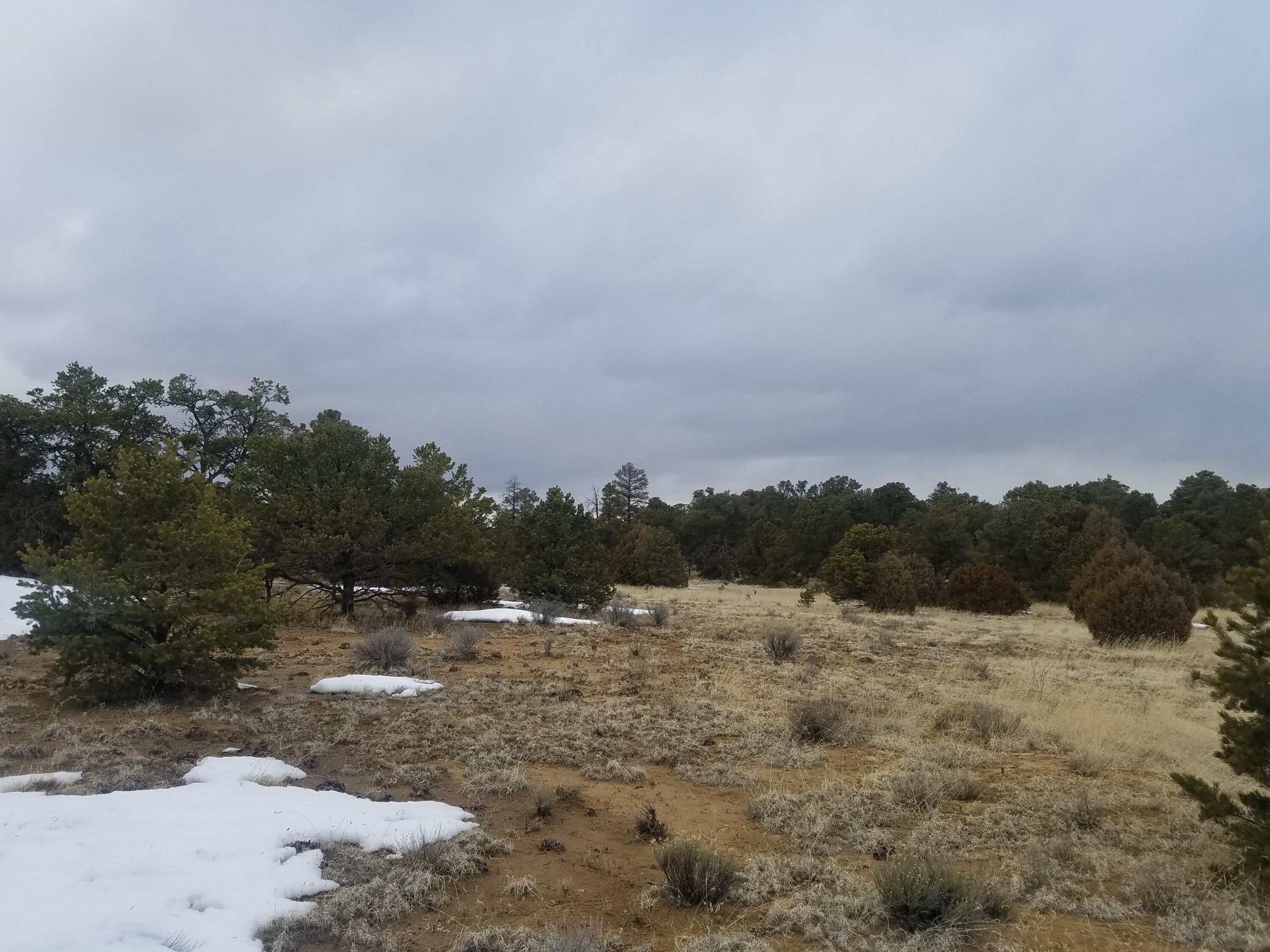 Photo 19 — 12 and 13 Ranchero Rd.