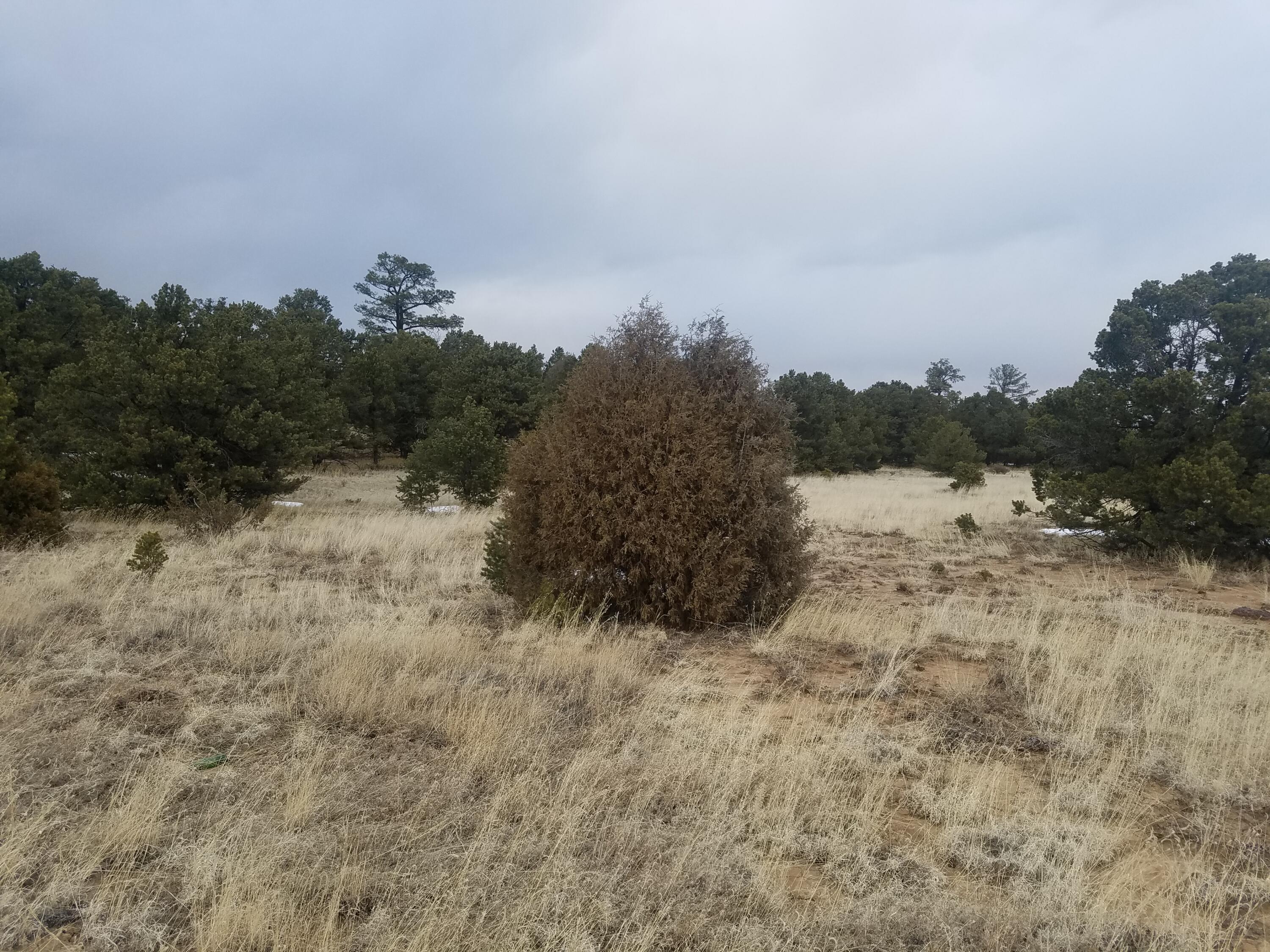 Photo 18 — 12 and 13 Ranchero Rd.