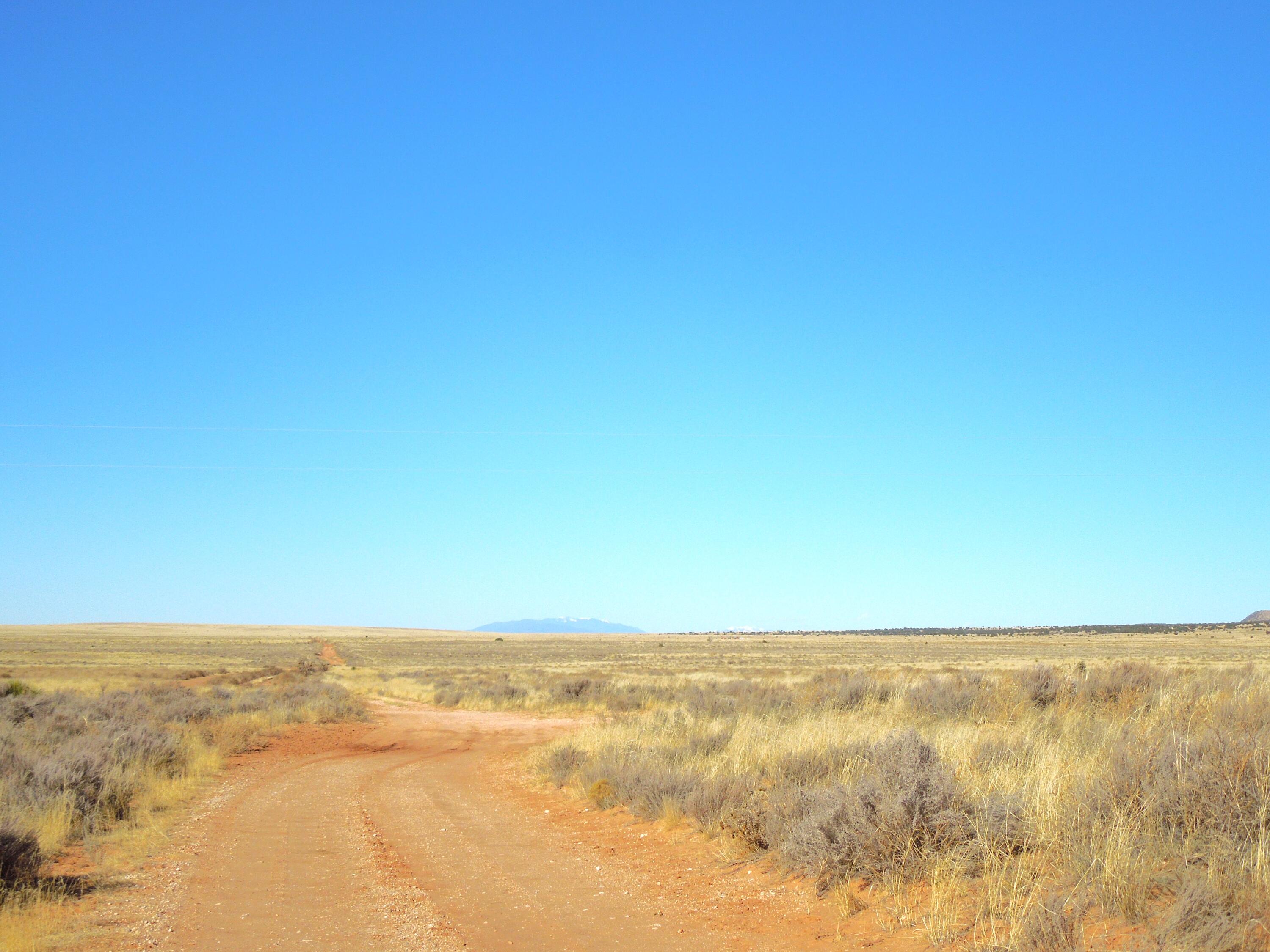 Photo 11 —  Lot 20-22 Block 8 Tract 12