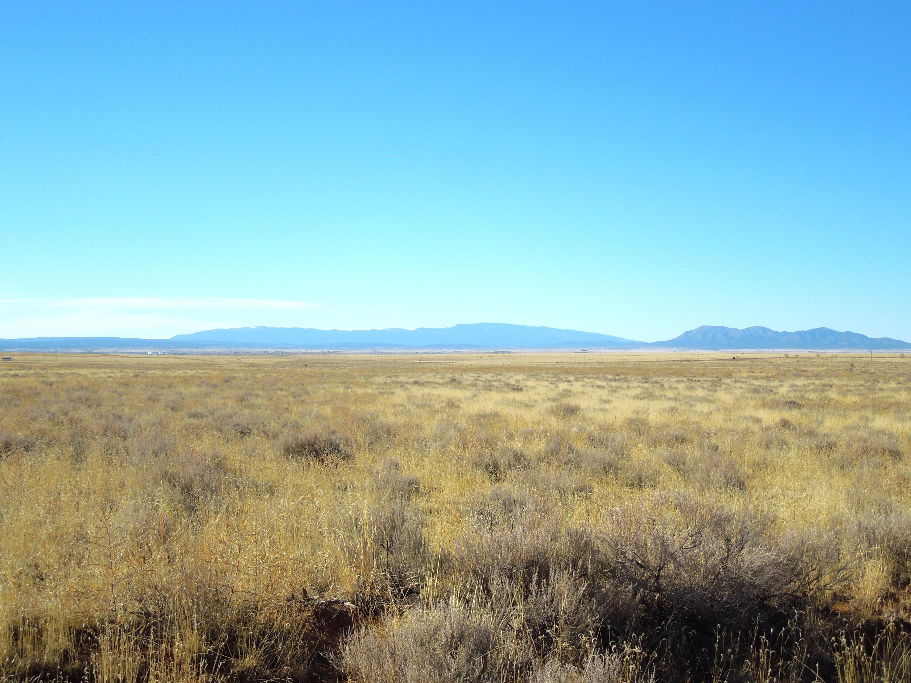 Photo 10 —  Lot 20-22 Block 8 Tract 12