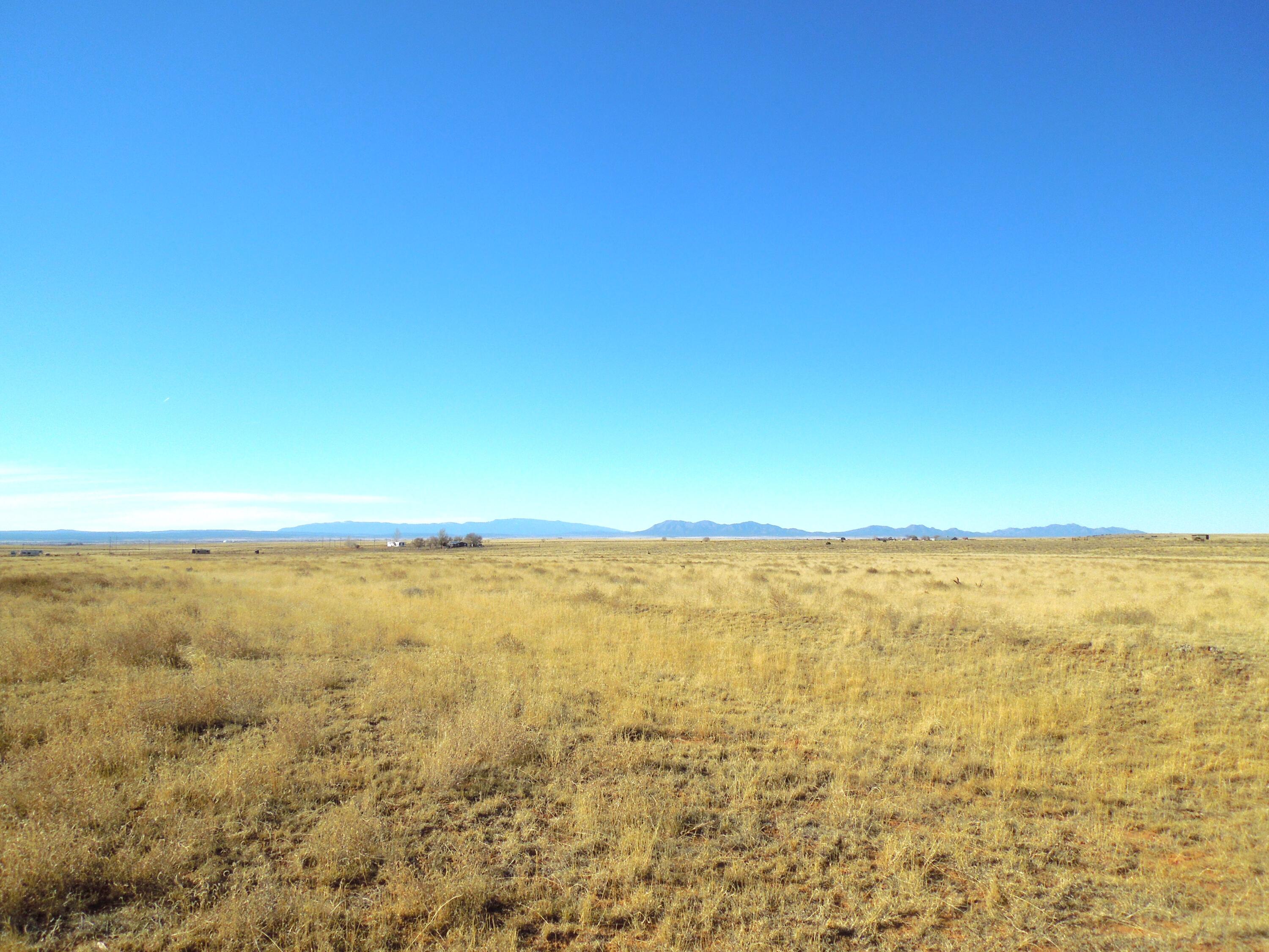 Photo 8 —  Lot 20-22 Block 8 Tract 12