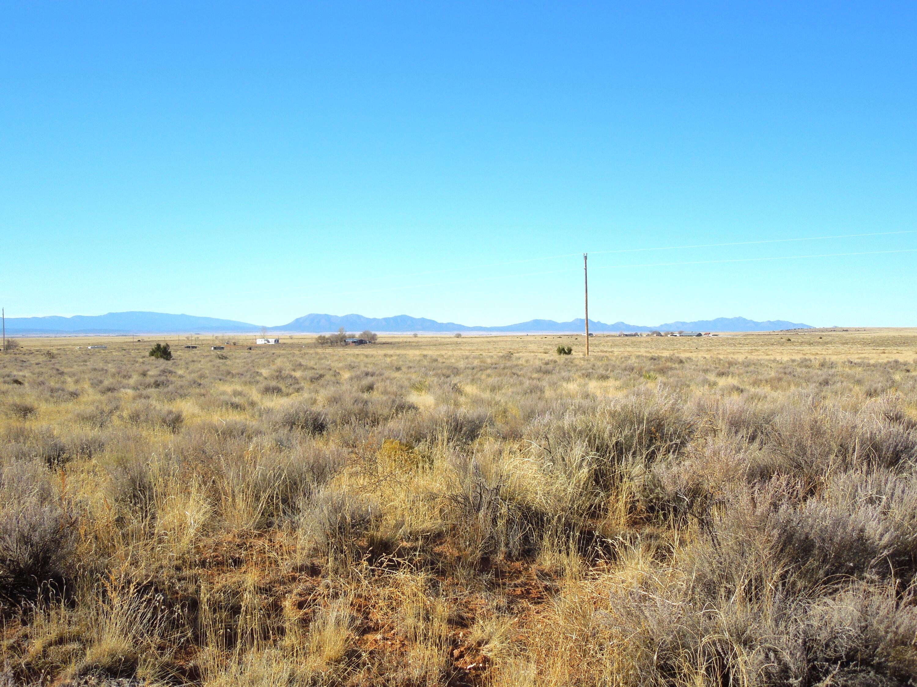 Photo 19 —  Lot 20-22 Block 8 Tract 12