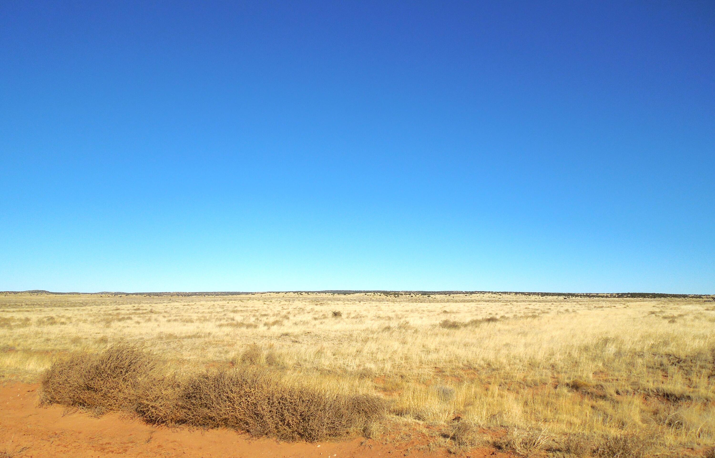 Photo 15 —  Lot 20-22 Block 8 Tract 12