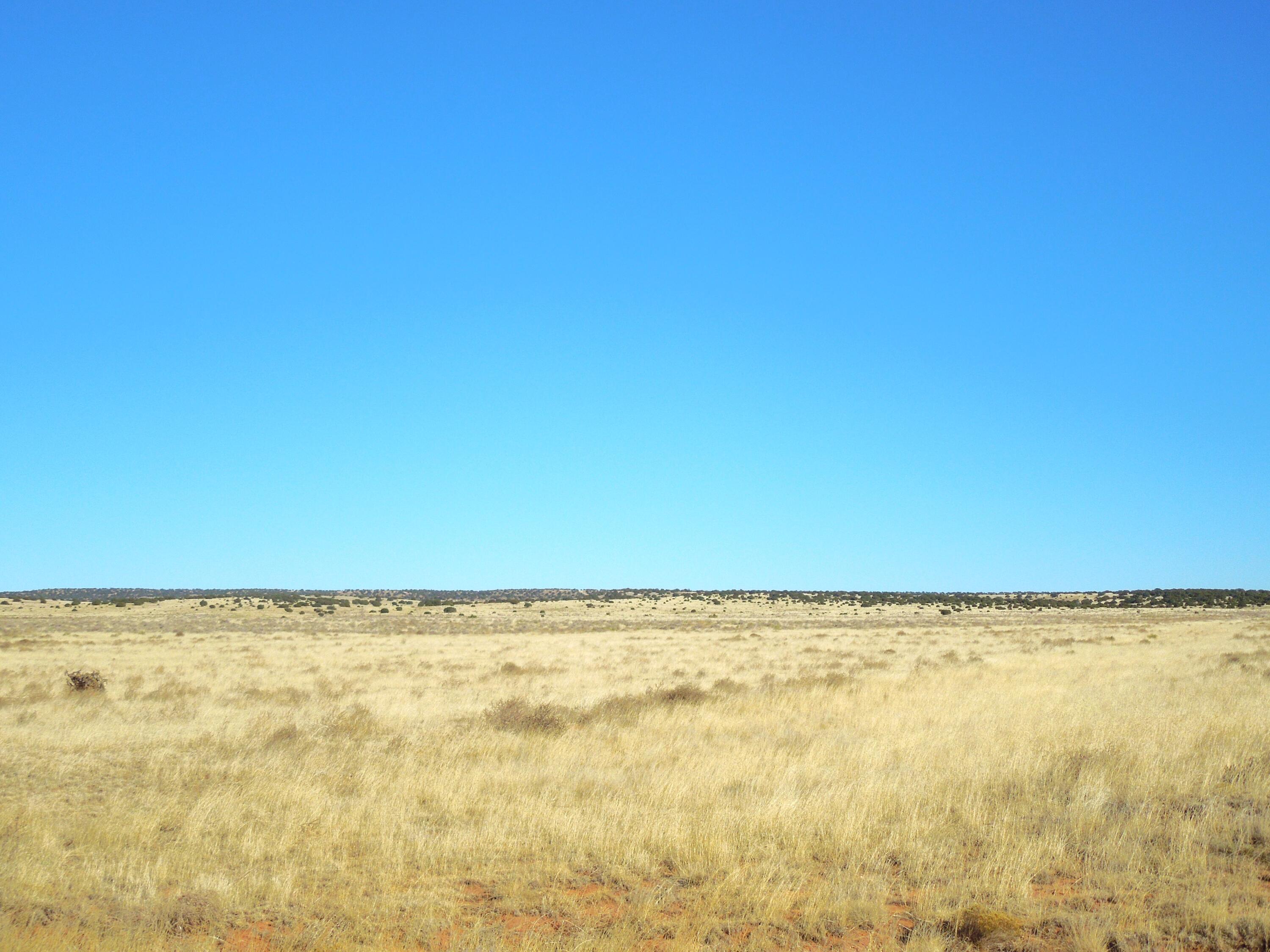 Photo 14 —  Lot 20-22 Block 8 Tract 12