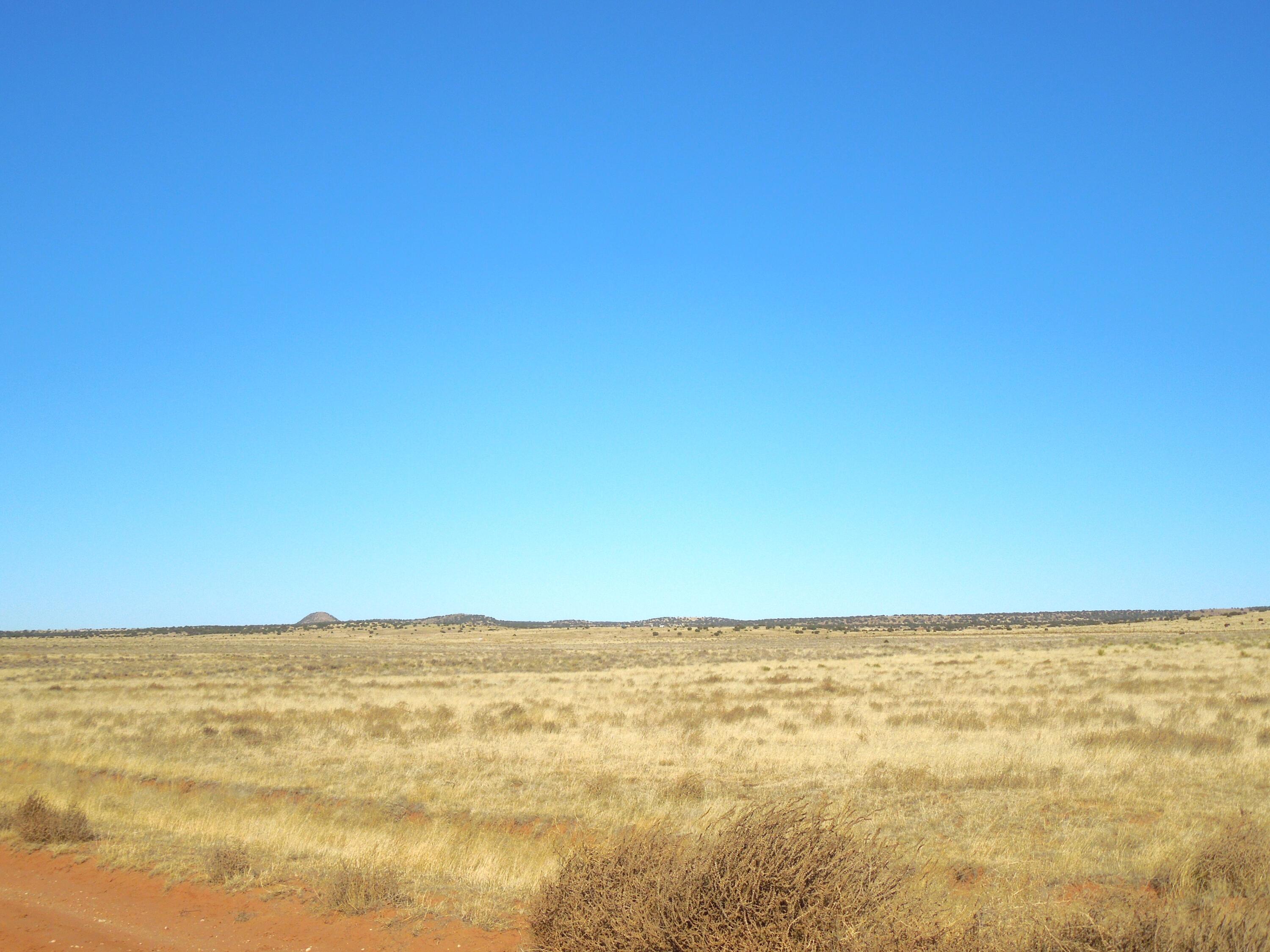 Photo 13 —  Lot 20-22 Block 8 Tract 12